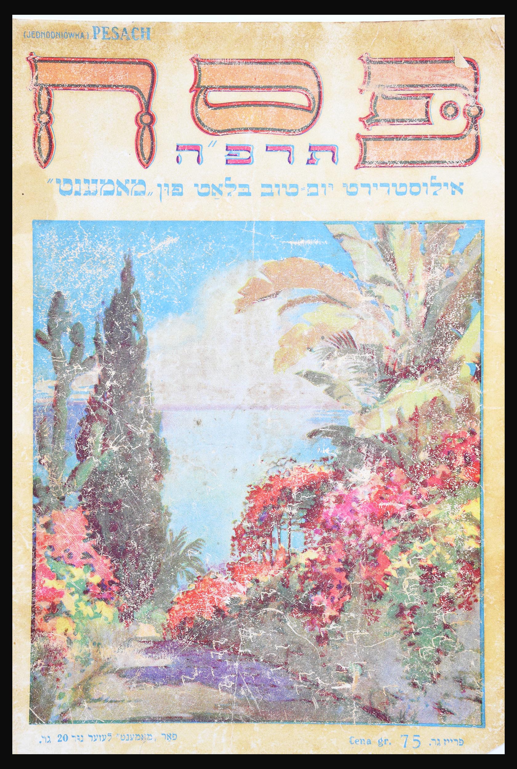 30731 024 - 30731 Israel/Palestina ephemera 1948-1980.