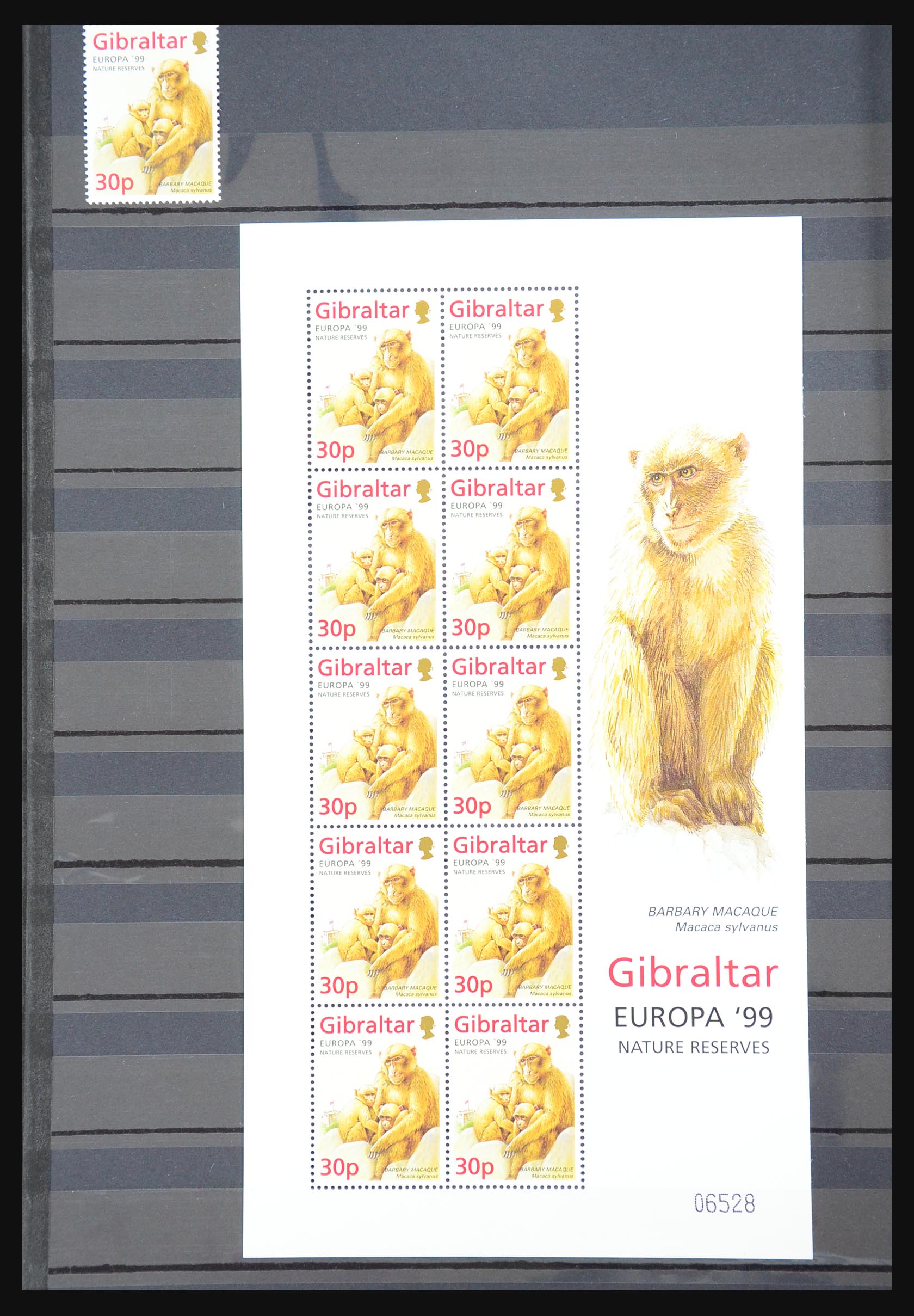 31302 095 - 31302 Gibraltar 1886-2012!