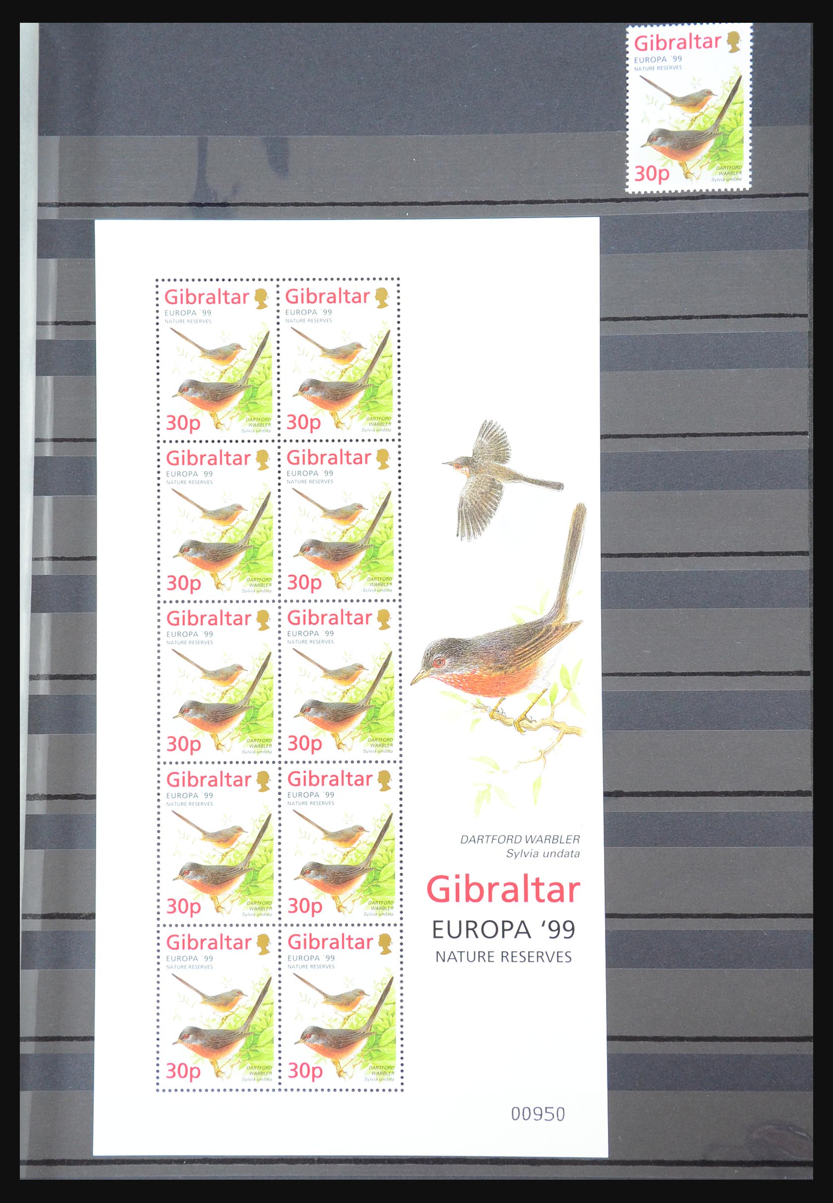 31302 096 - 31302 Gibraltar 1886-2012!