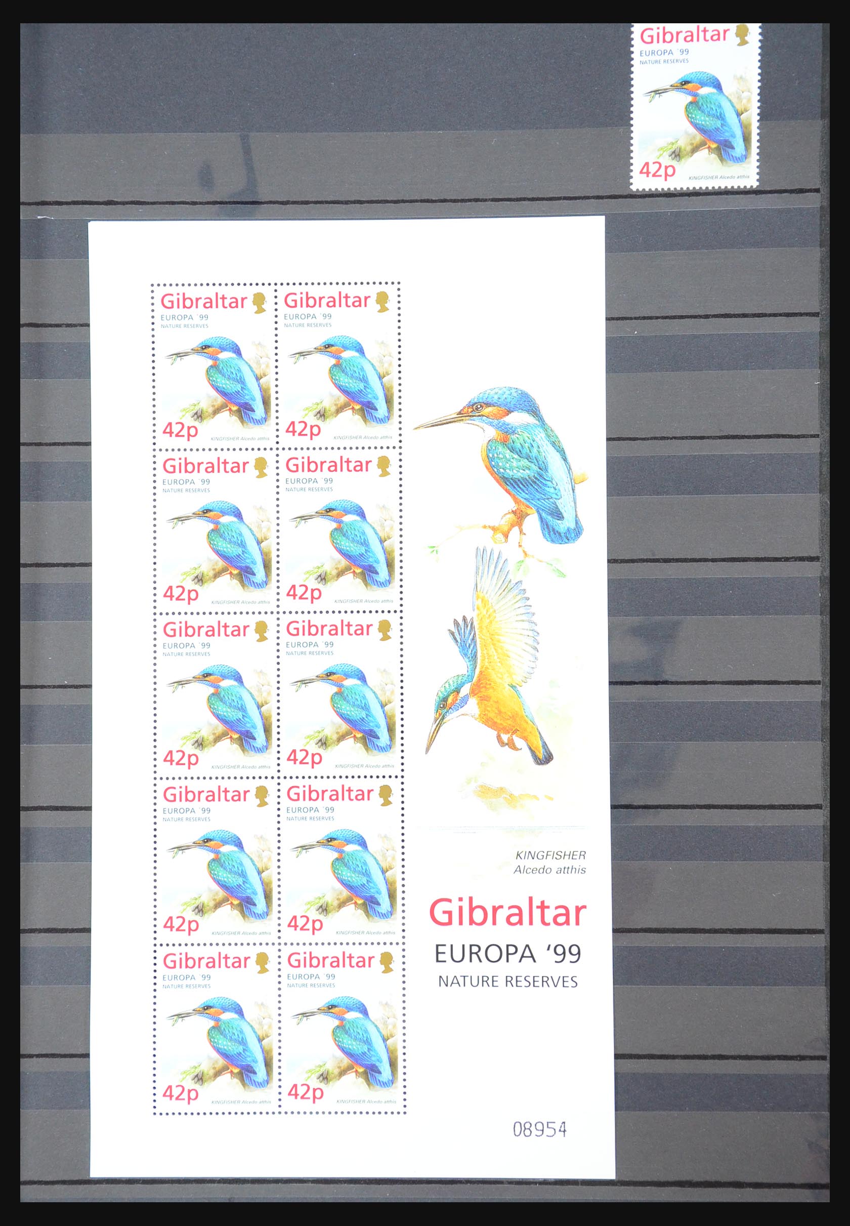 31302 098 - 31302 Gibraltar 1886-2012!