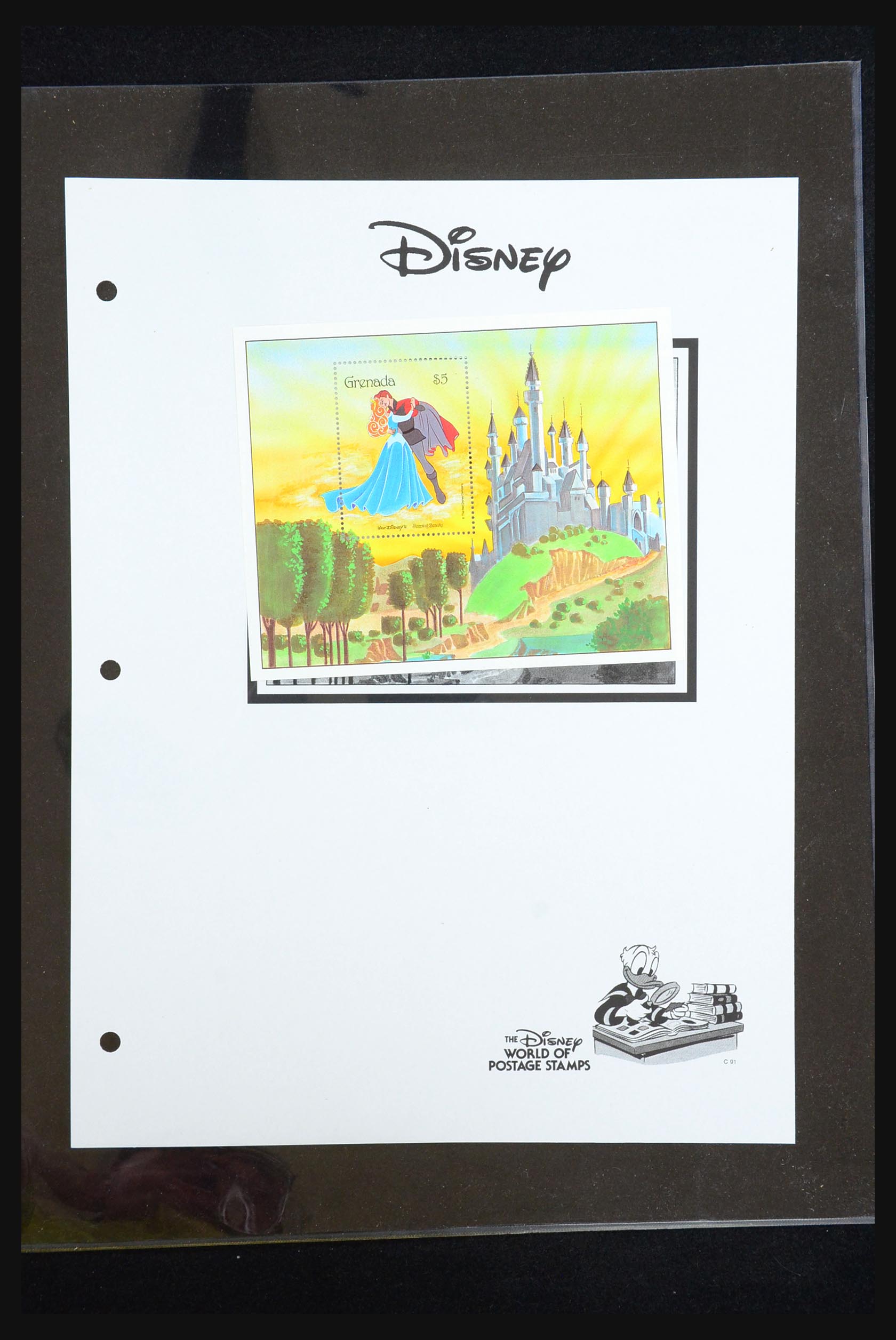 31353 057 - 31353 Walt Disney tot modern.