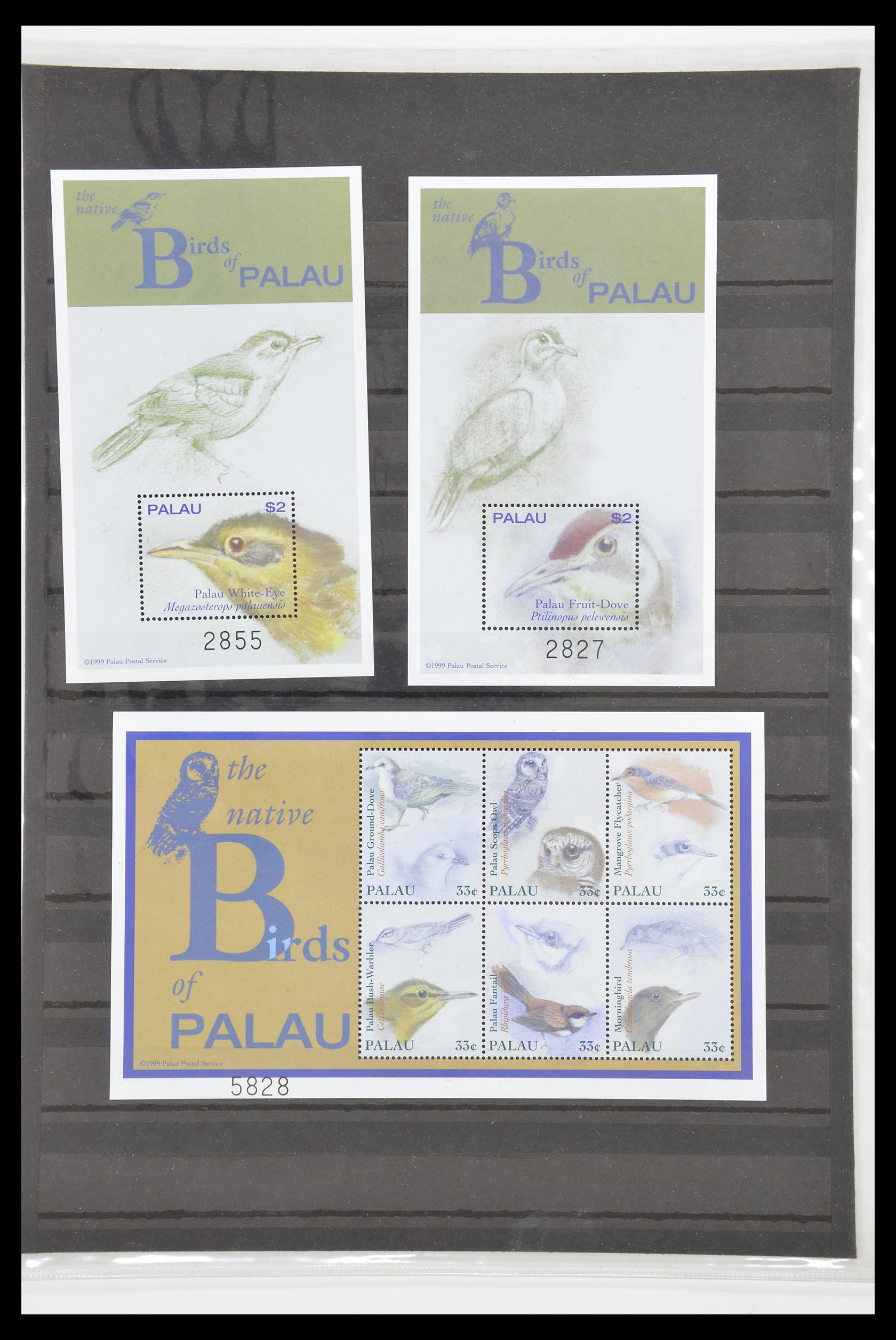 31380 267 - 31380 Palau 1983-2008.