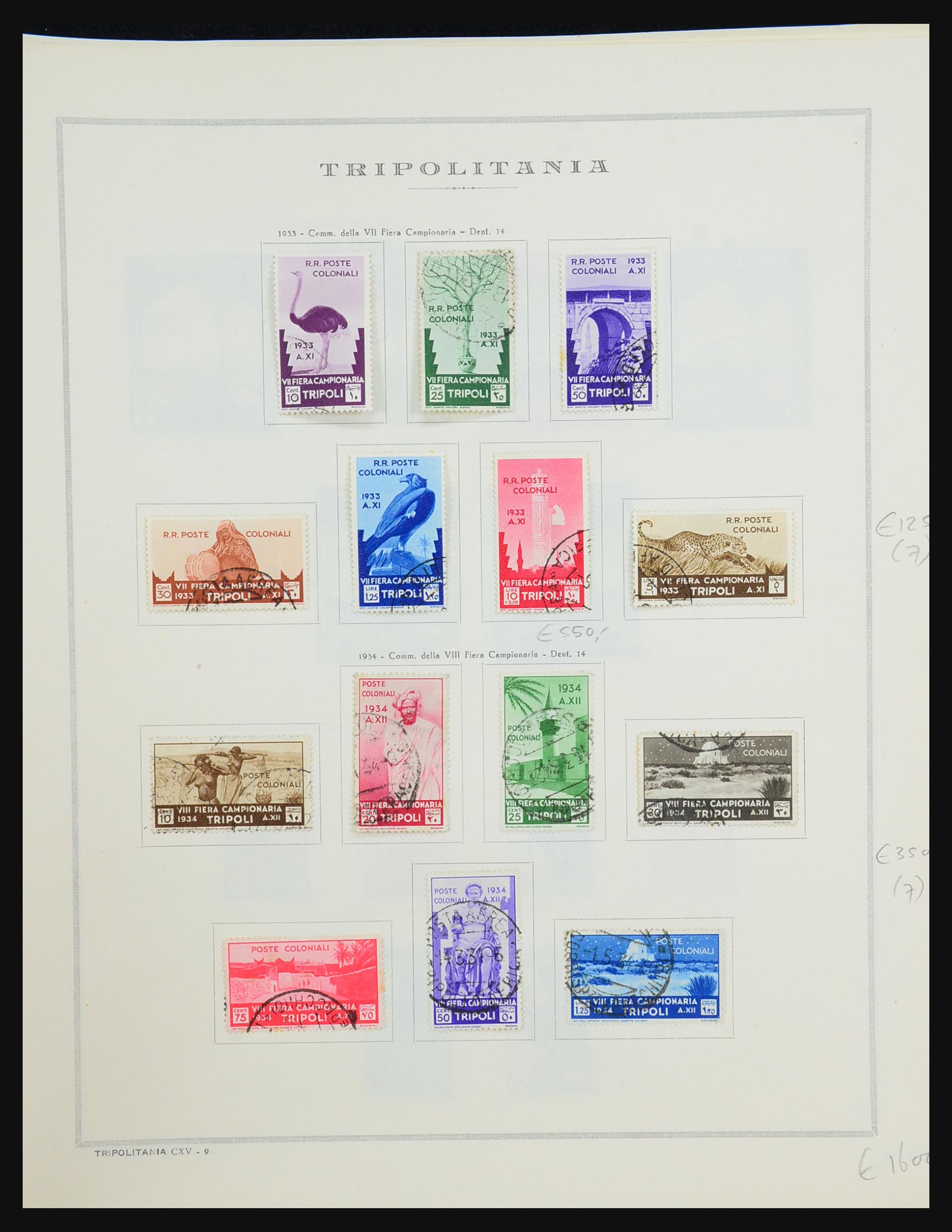 31490 028 - 31490 Italian Lybia and Tripoli 1912-1955.