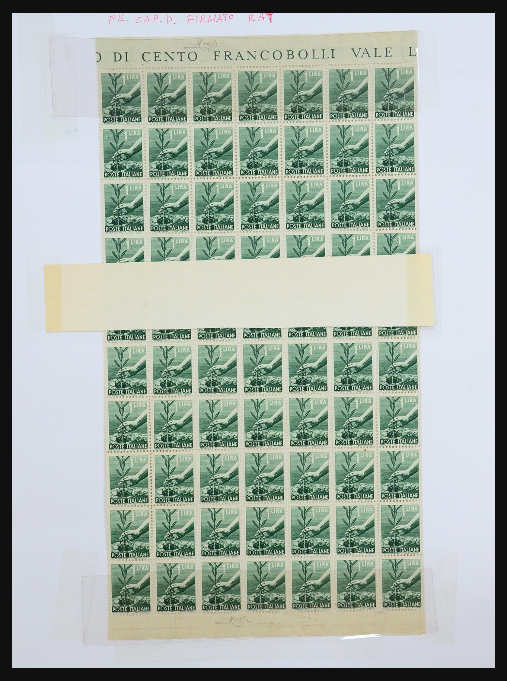 31512 036 - 31512 Italië specialiteiten 1900-1955.