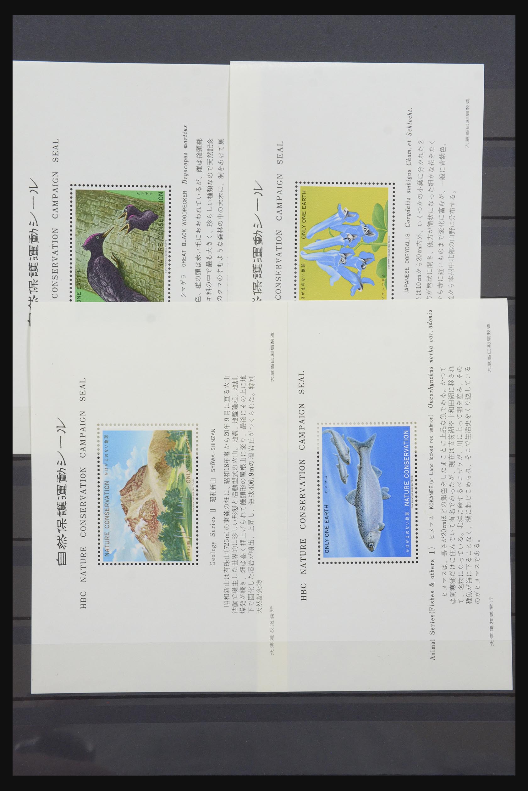31599 046 - 31599 Japan souvenir sheets 1946-1999.
