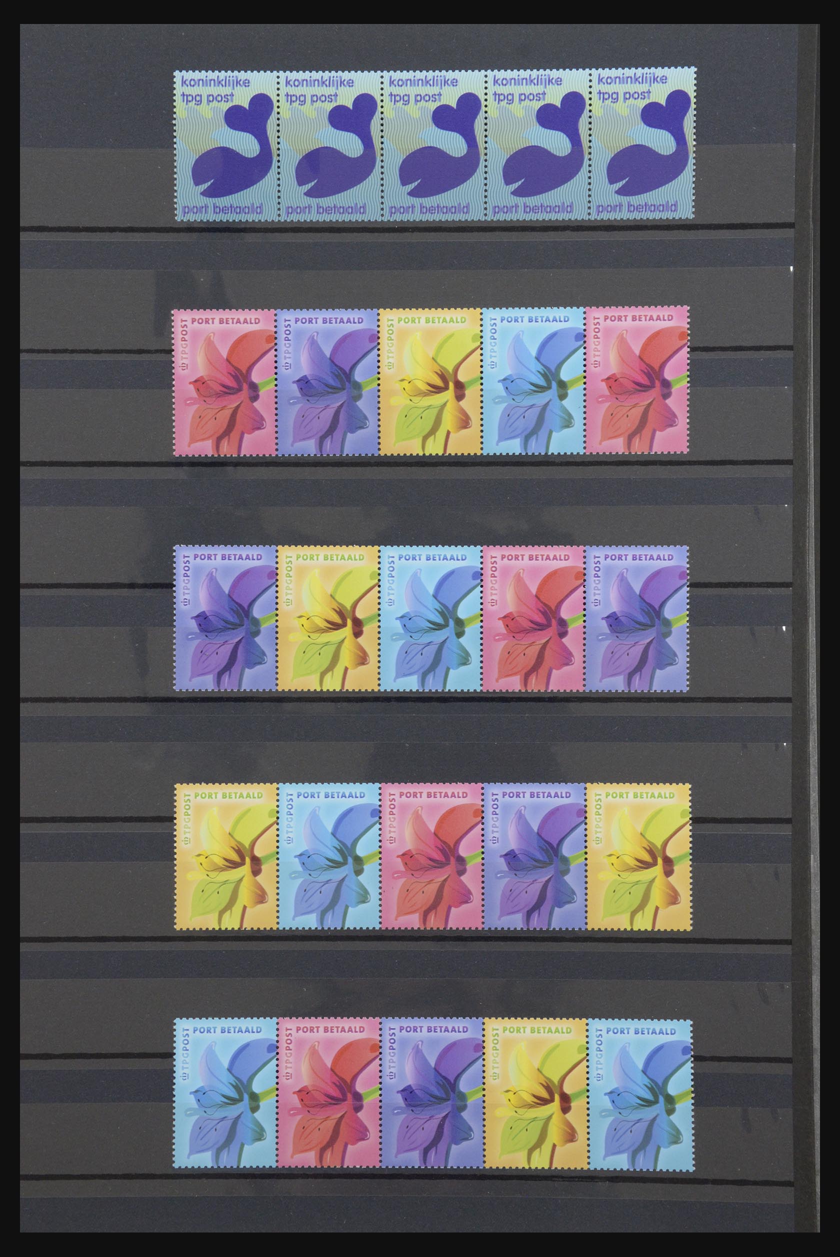 31625 017 - 31625 Netherlands coilstamps 1965-2009.