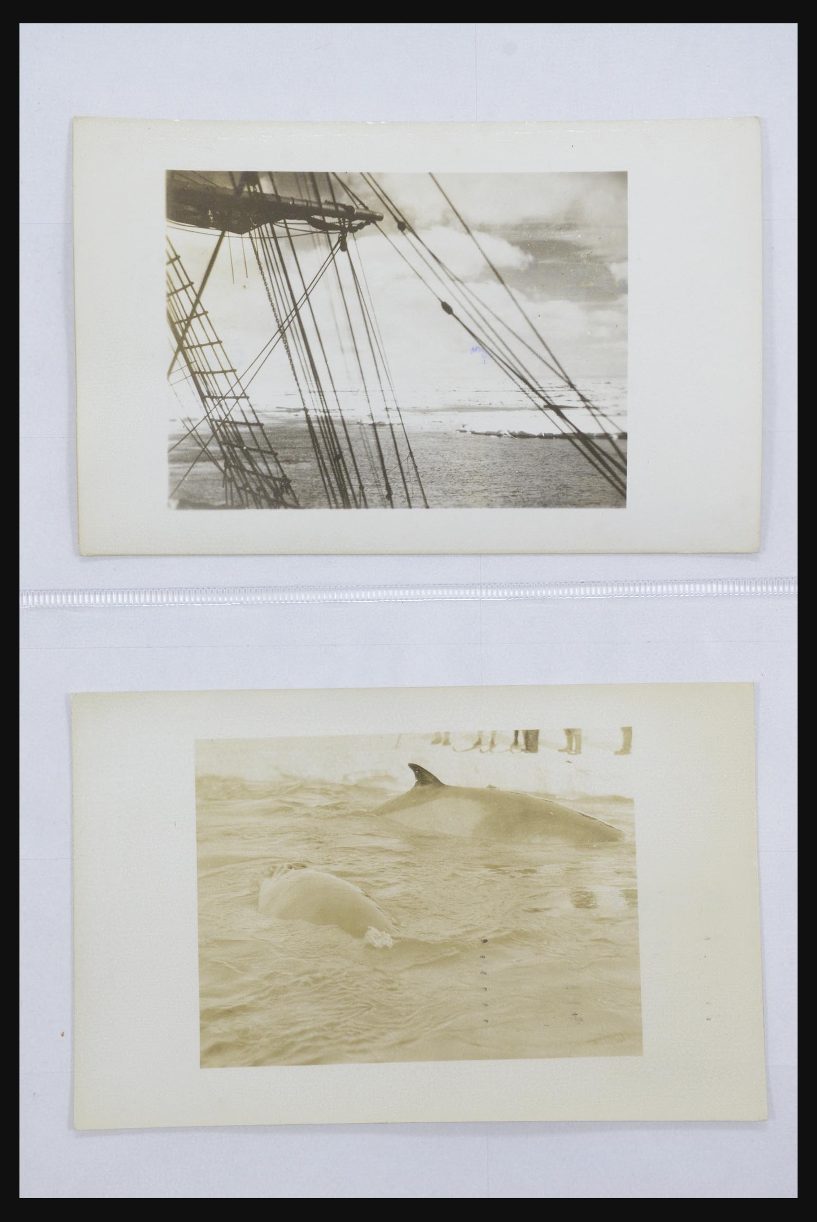 31627 015 - 31627 Byrd Antarctic Expedition 1934.