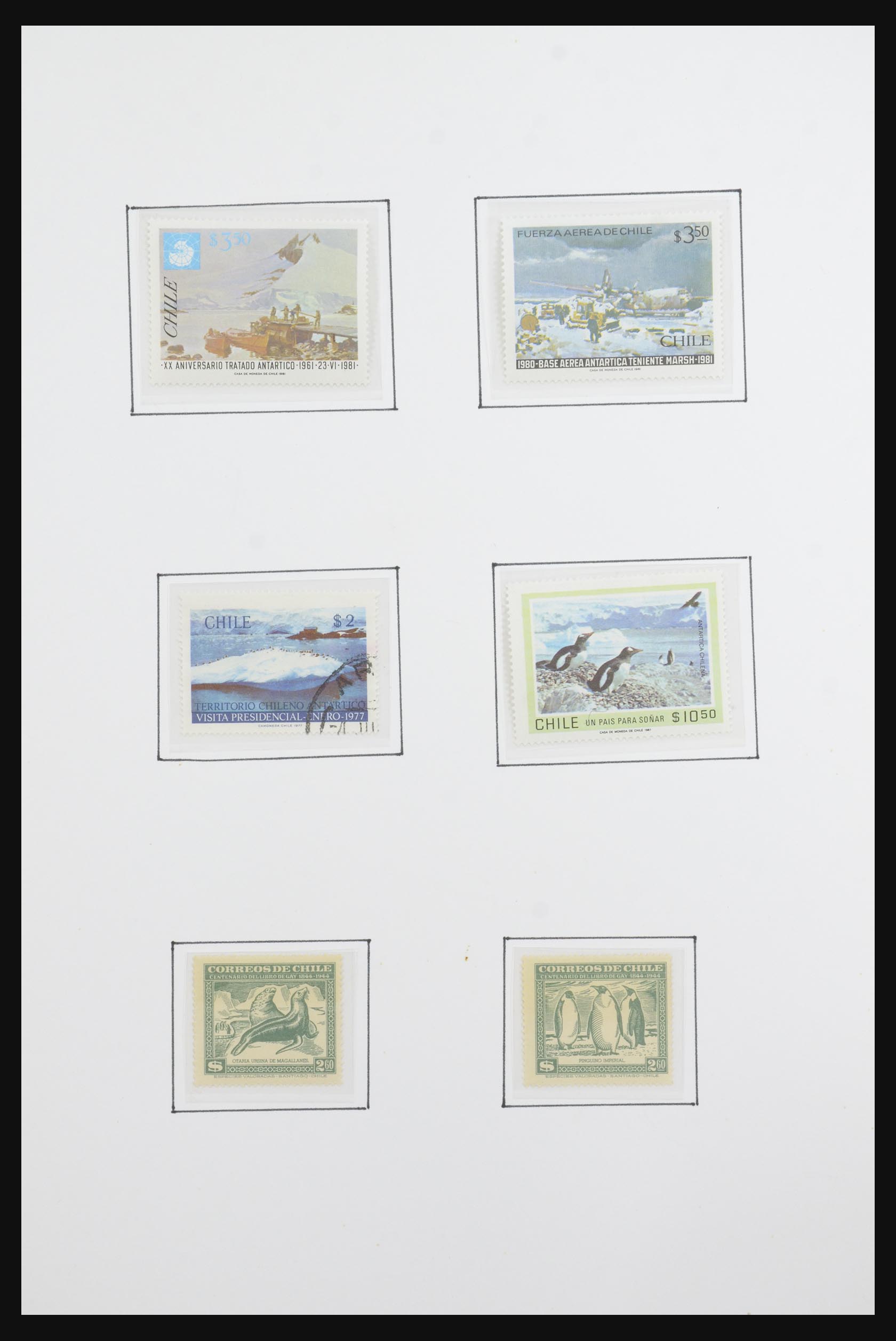 31659 010 - 31659 Motief: Antarctica en Arctica 1880-1998.