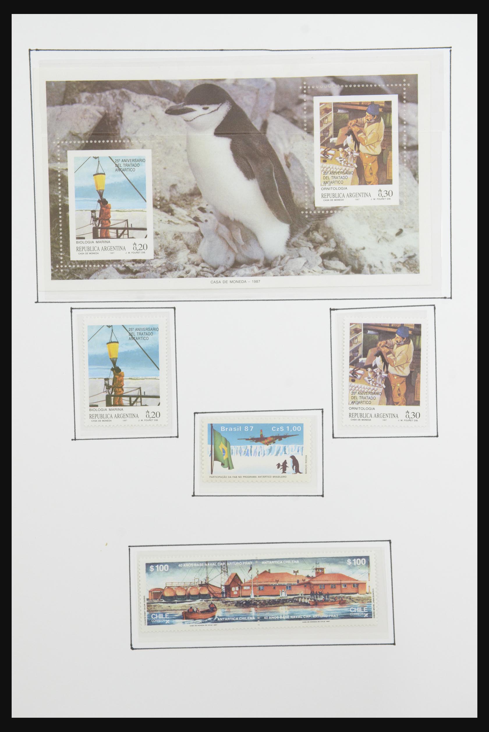 31659 020 - 31659 Motief: Antarctica en Arctica 1880-1998.