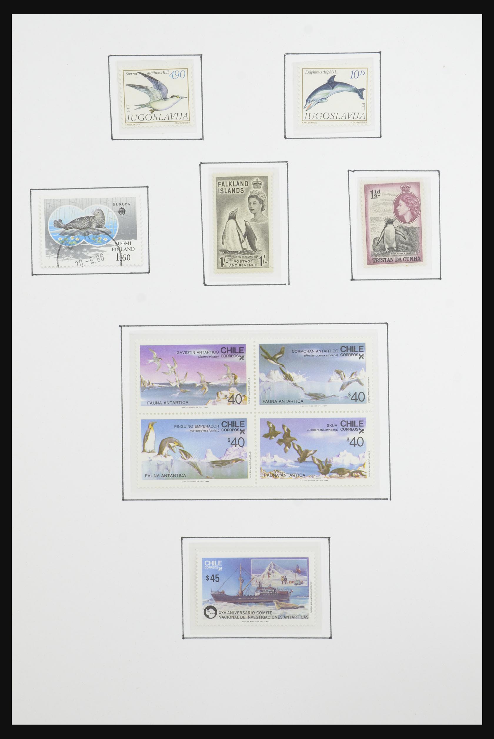 31659 024 - 31659 Motief: Antarctica en Arctica 1880-1998.