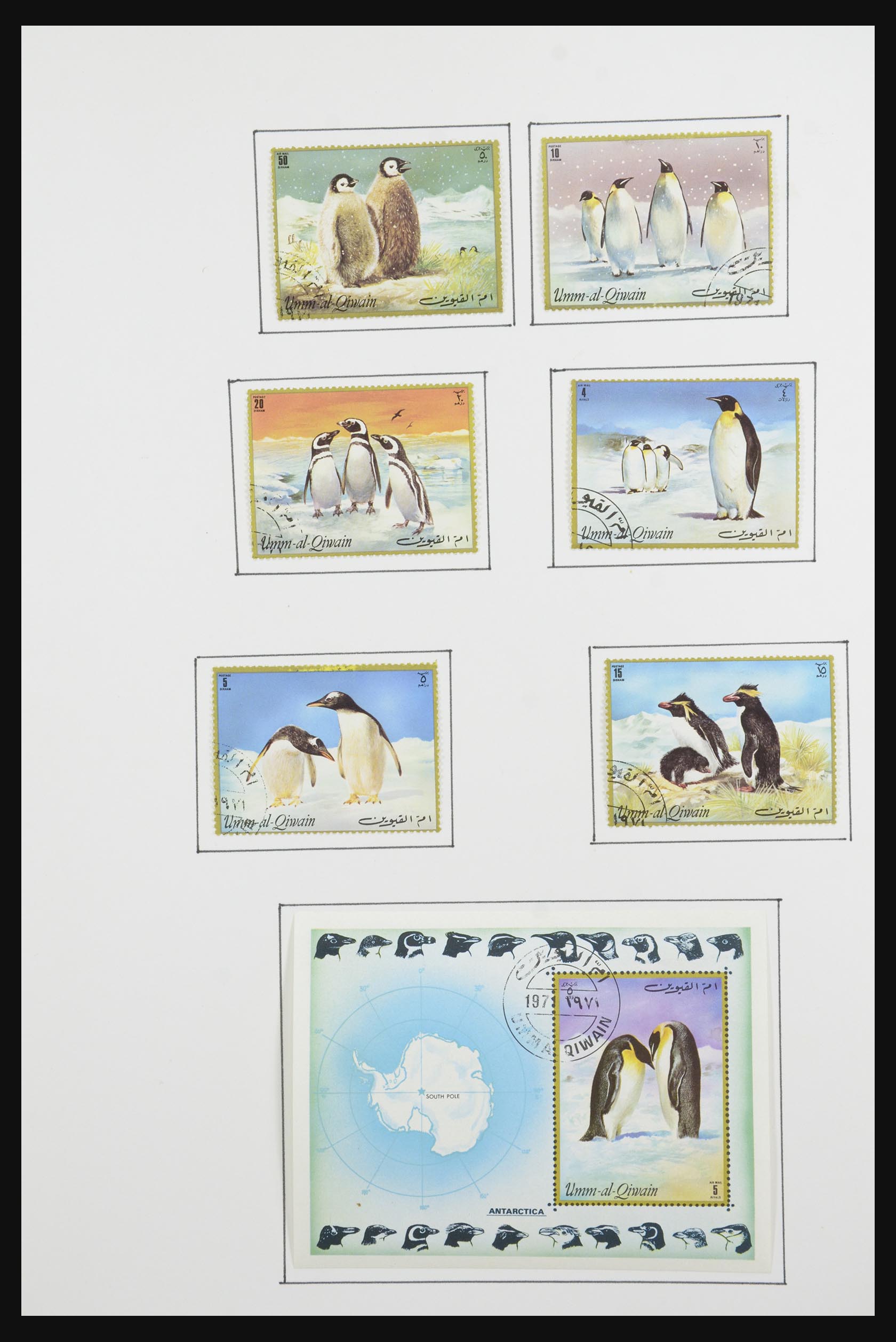 31659 028 - 31659 Thematic: Antarctics and Arctics 1880-1998.