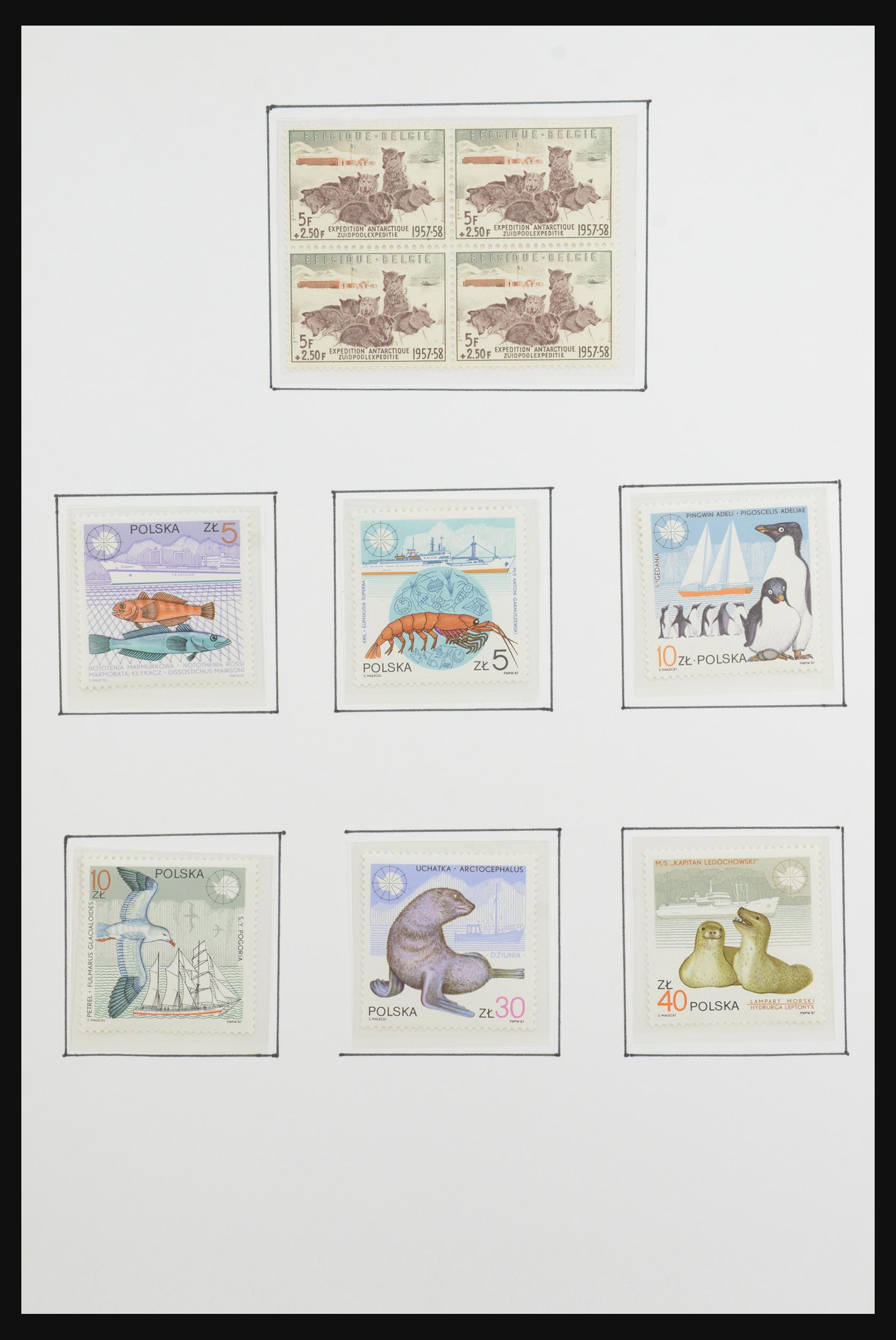 31659 031 - 31659 Thematic: Antarctics and Arctics 1880-1998.