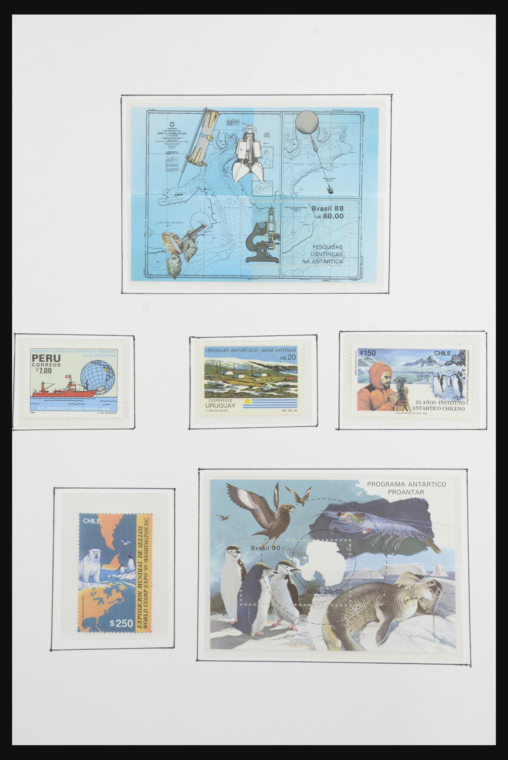 31659 050 - 31659 Thematic: Antarctics and Arctics 1880-1998.