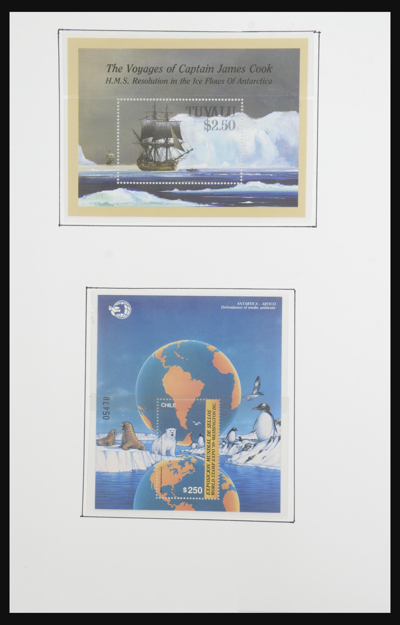 31659 051 - 31659 Thematic: Antarctics and Arctics 1880-1998.