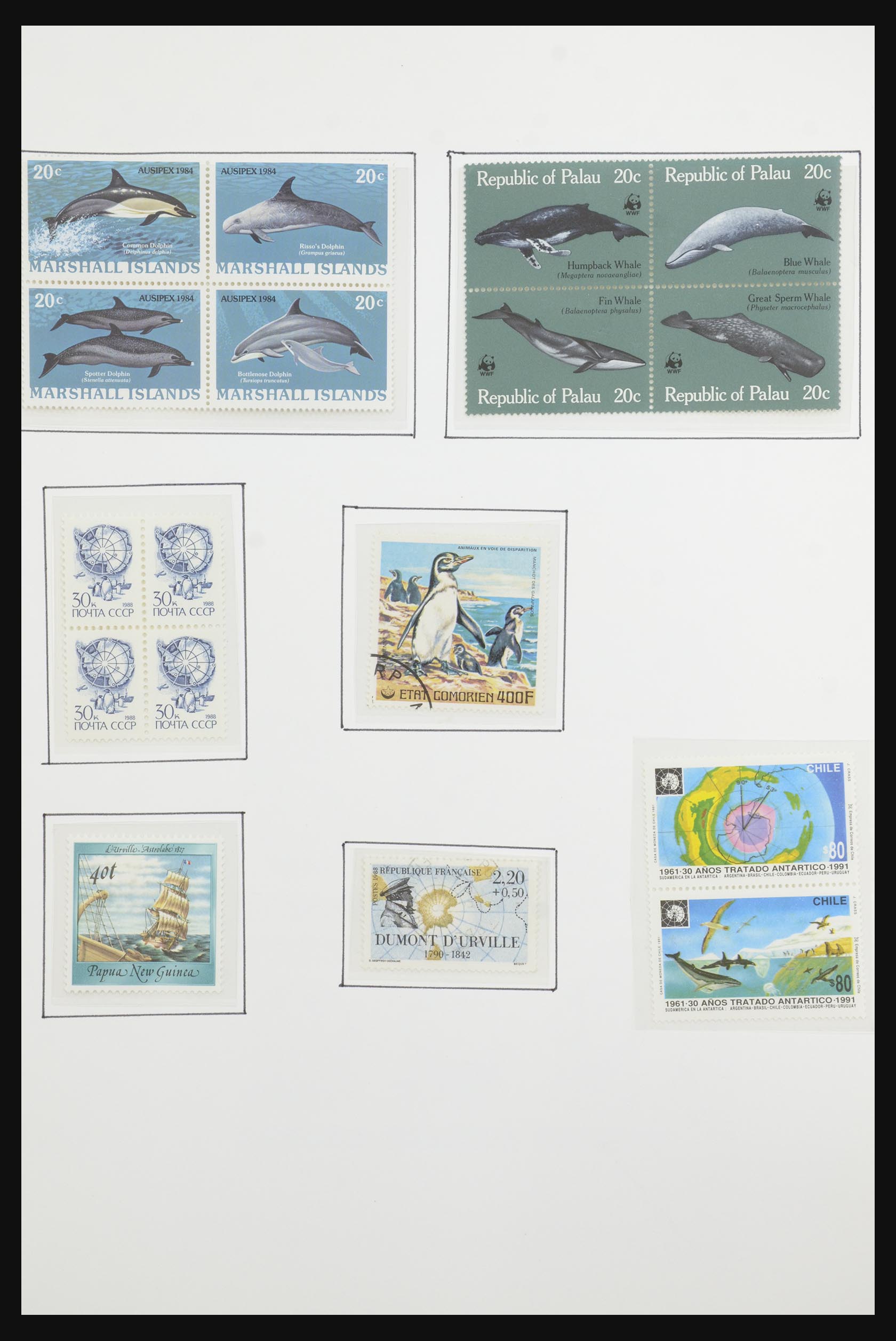31659 052 - 31659 Motief: Antarctica en Arctica 1880-1998.