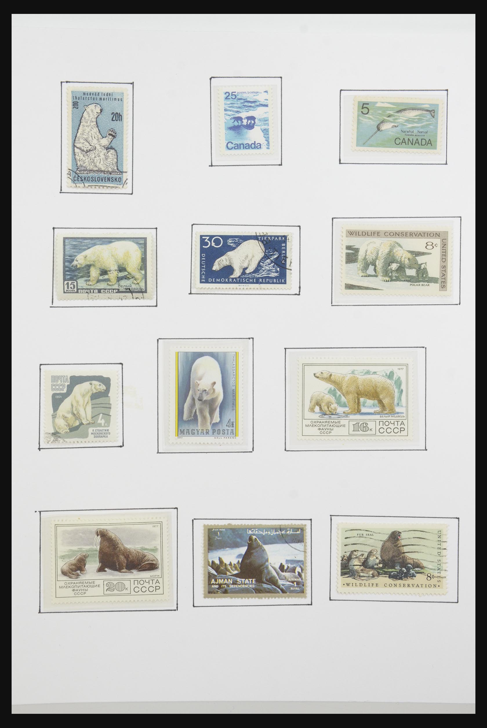 31659 063 - 31659 Thematic: Antarctics and Arctics 1880-1998.