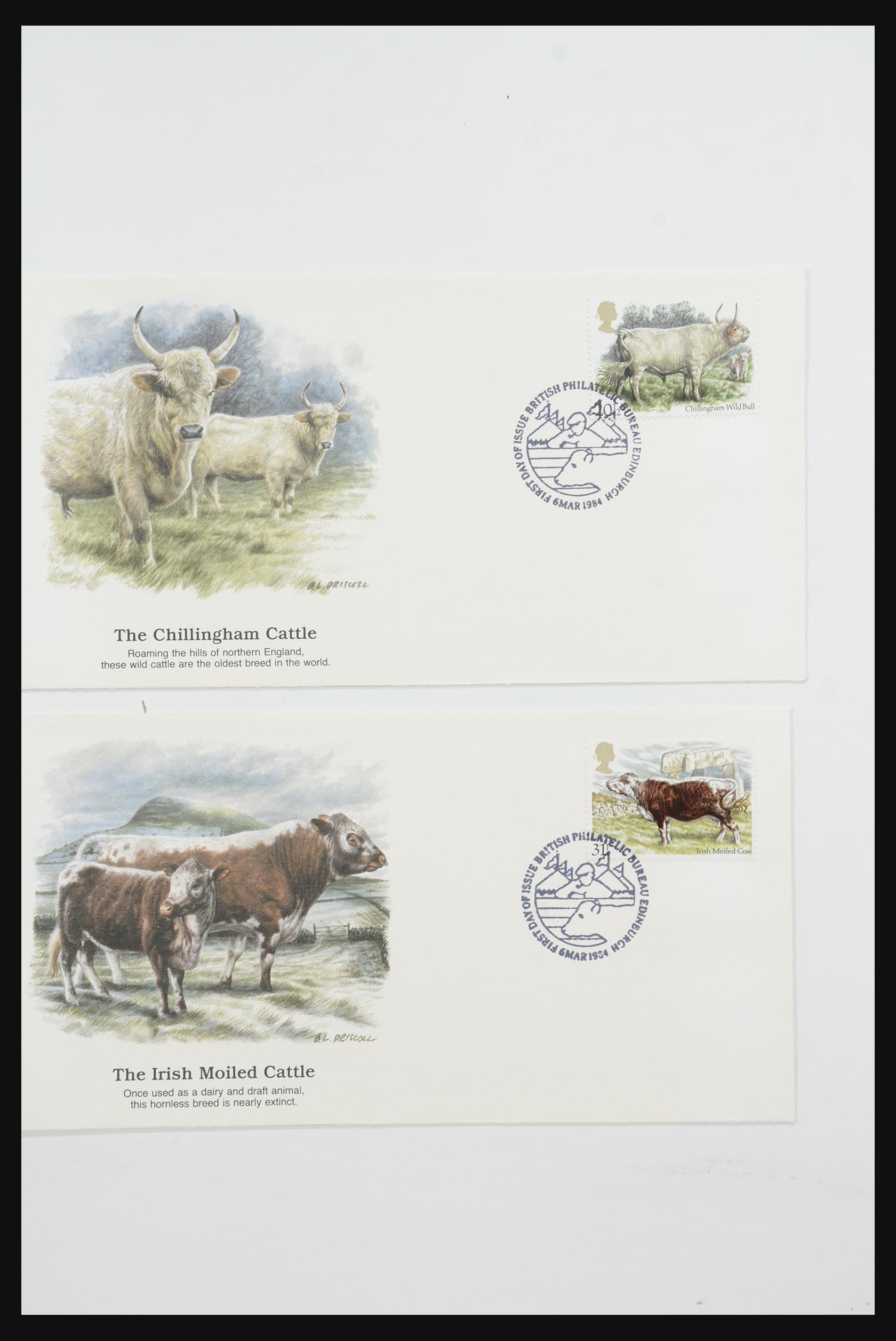 31726 131 - 31726 Engeland en koloniën brieven en FDC's 1937-2001.