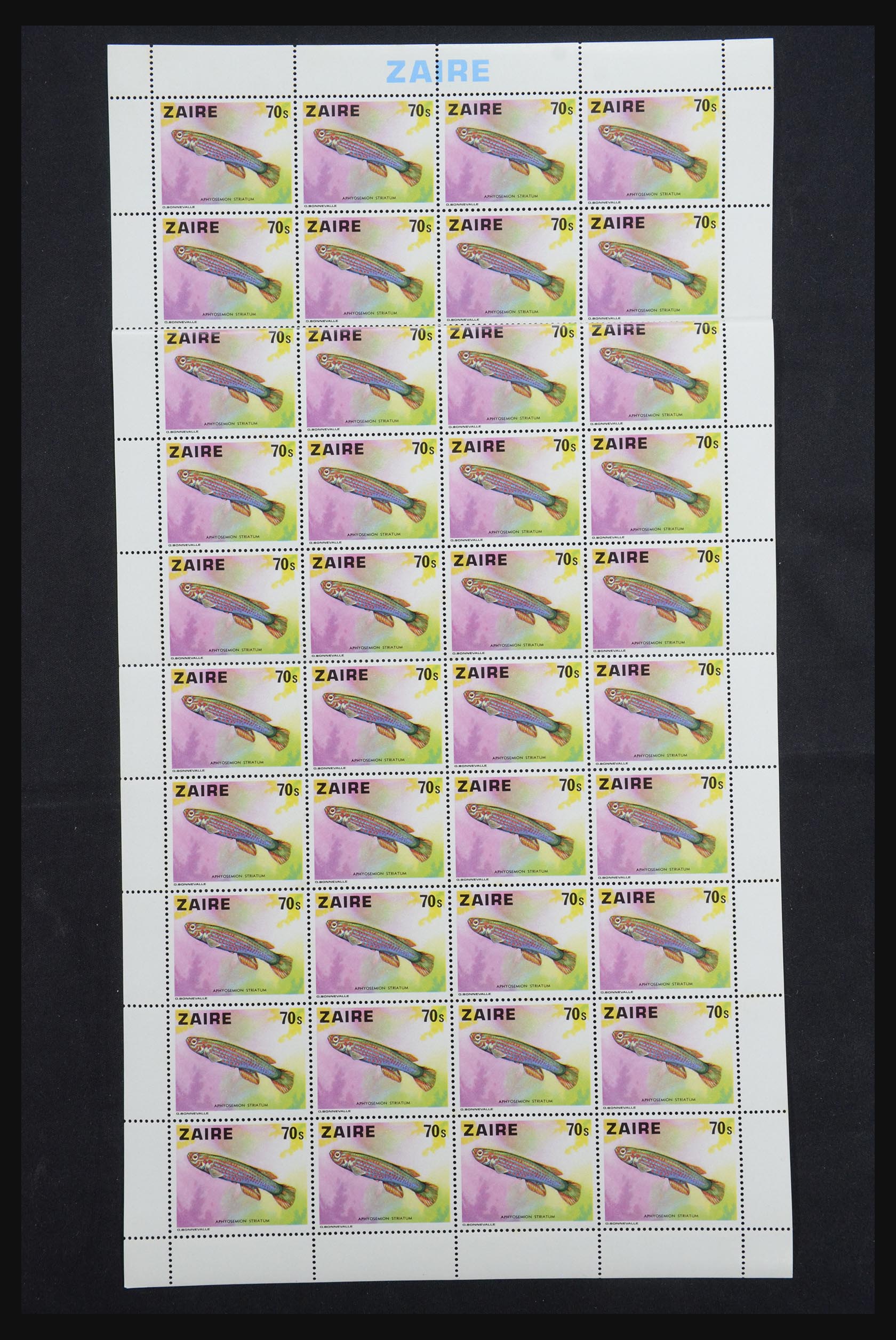 31739 034 - 31739 Congo/Zaïre 1964-1980.