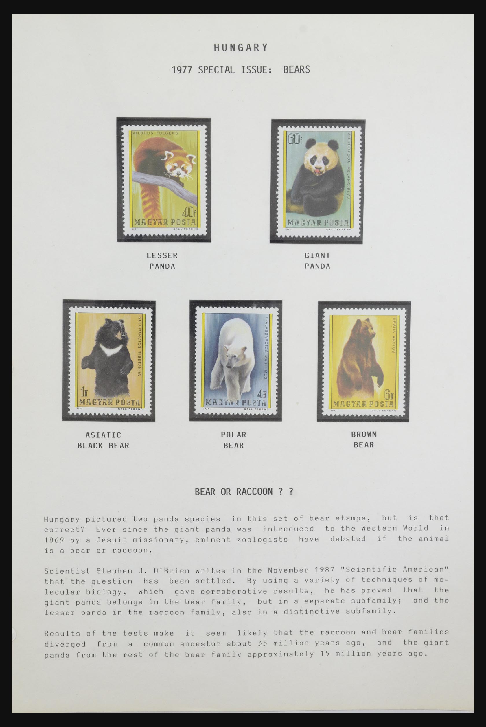 31922 005 - 31922 Thematic giant panda's 1937-1989.