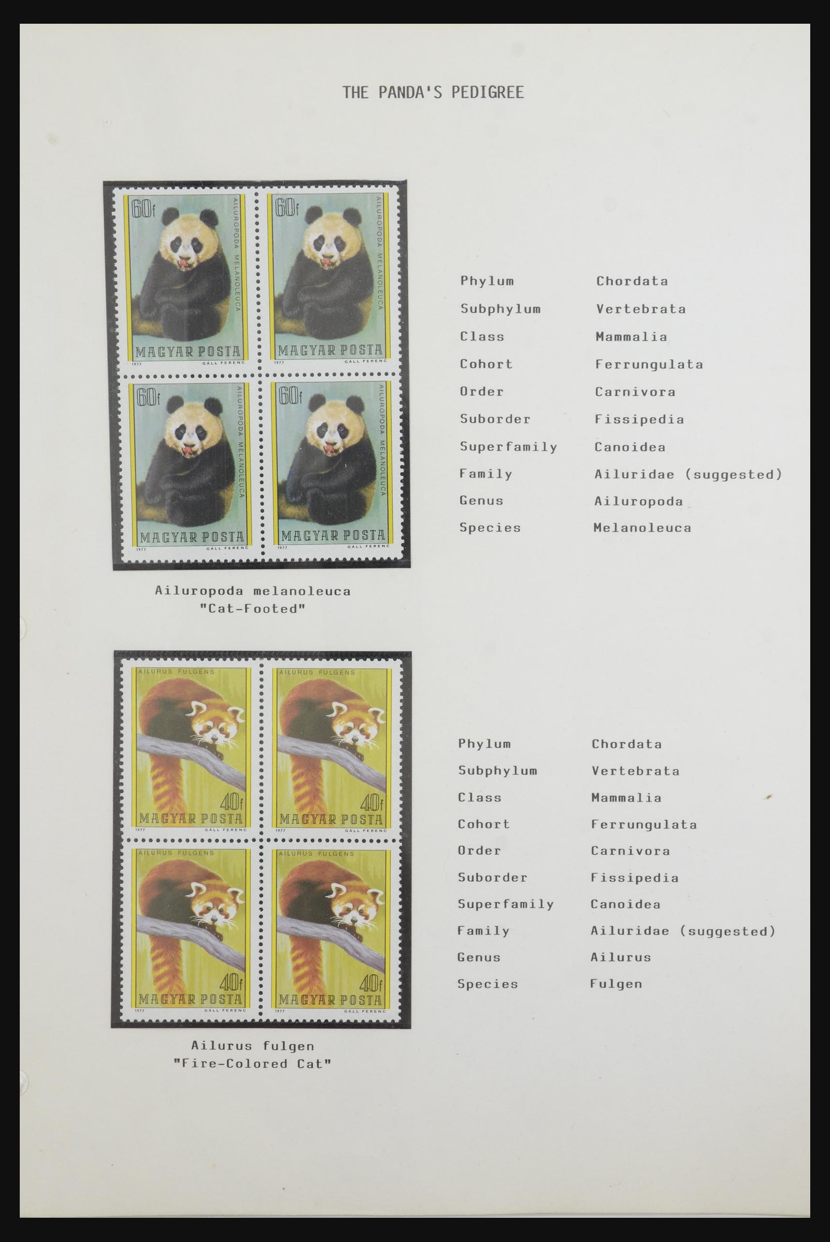 31922 006 - 31922 Thematic giant panda's 1937-1989.