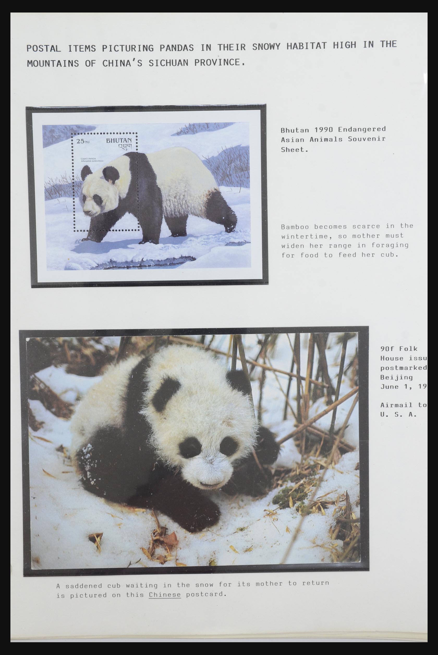 31922 010 - 31922 Motief panda's 1937-1989.