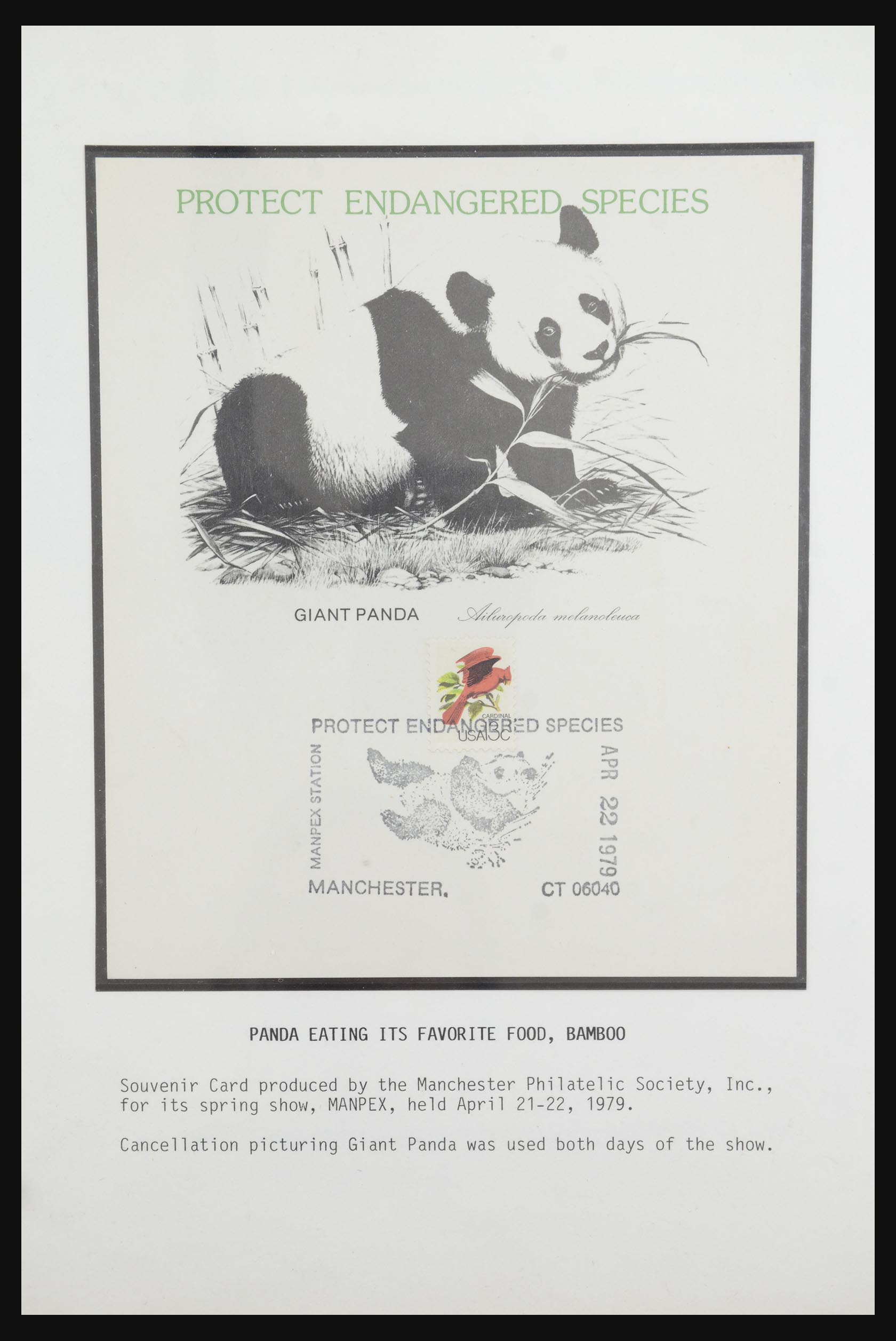 31922 021 - 31922 Thematic giant panda's 1937-1989.