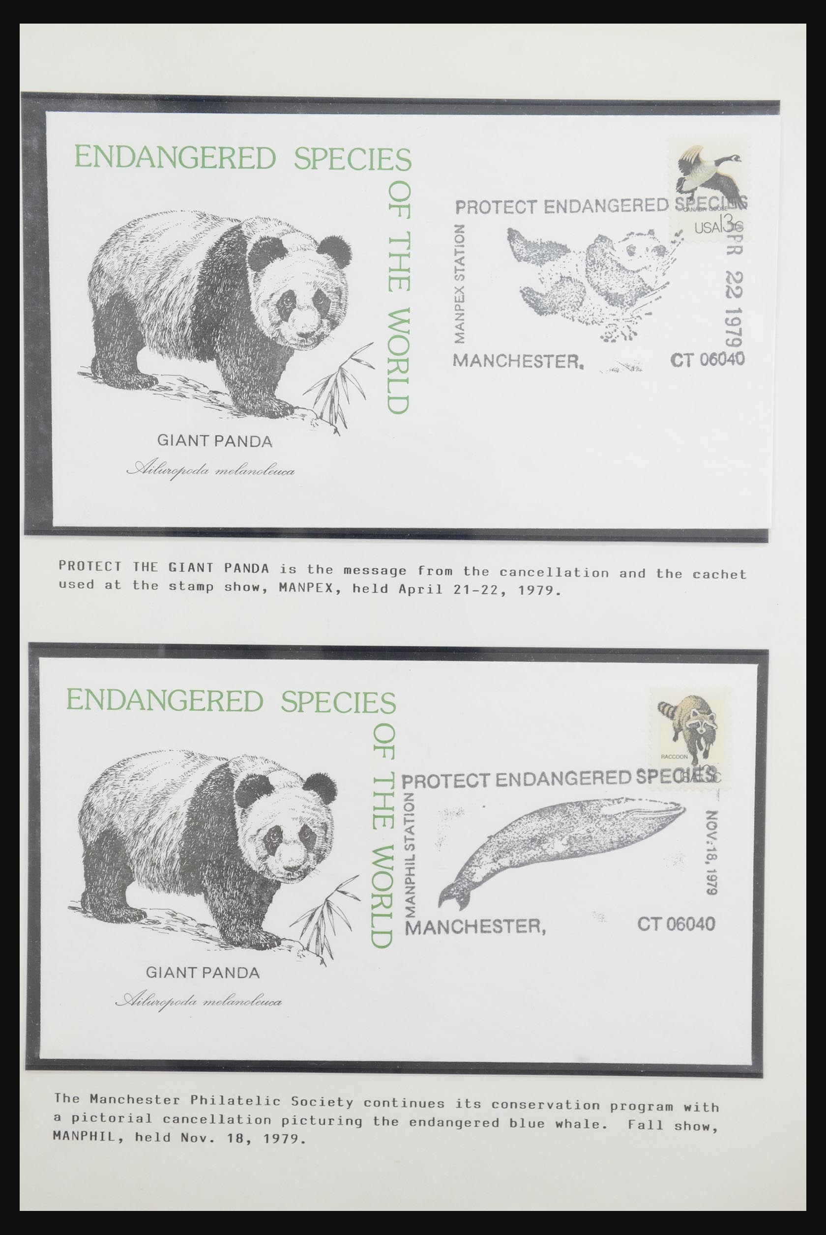 31922 022 - 31922 Thematic giant panda's 1937-1989.