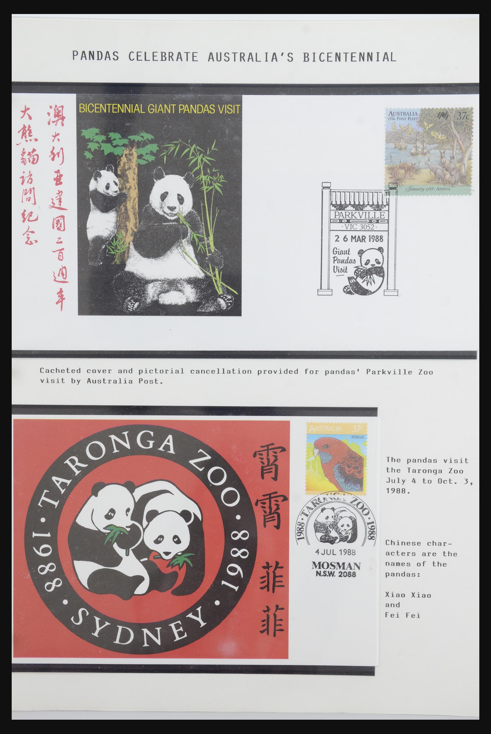 31922 024 - 31922 Thematic giant panda's 1937-1989.