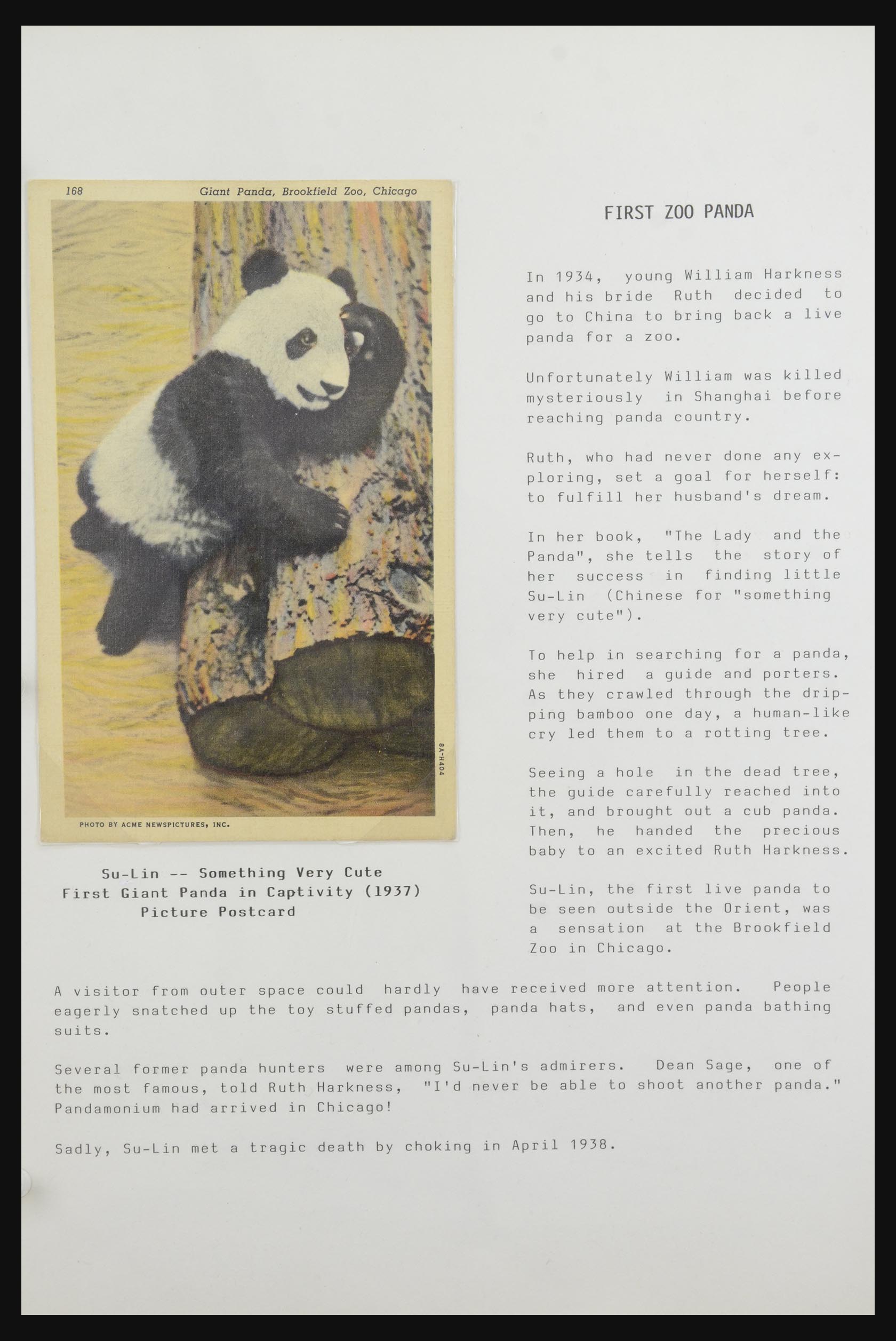 31922 026 - 31922 Motief panda's 1937-1989.