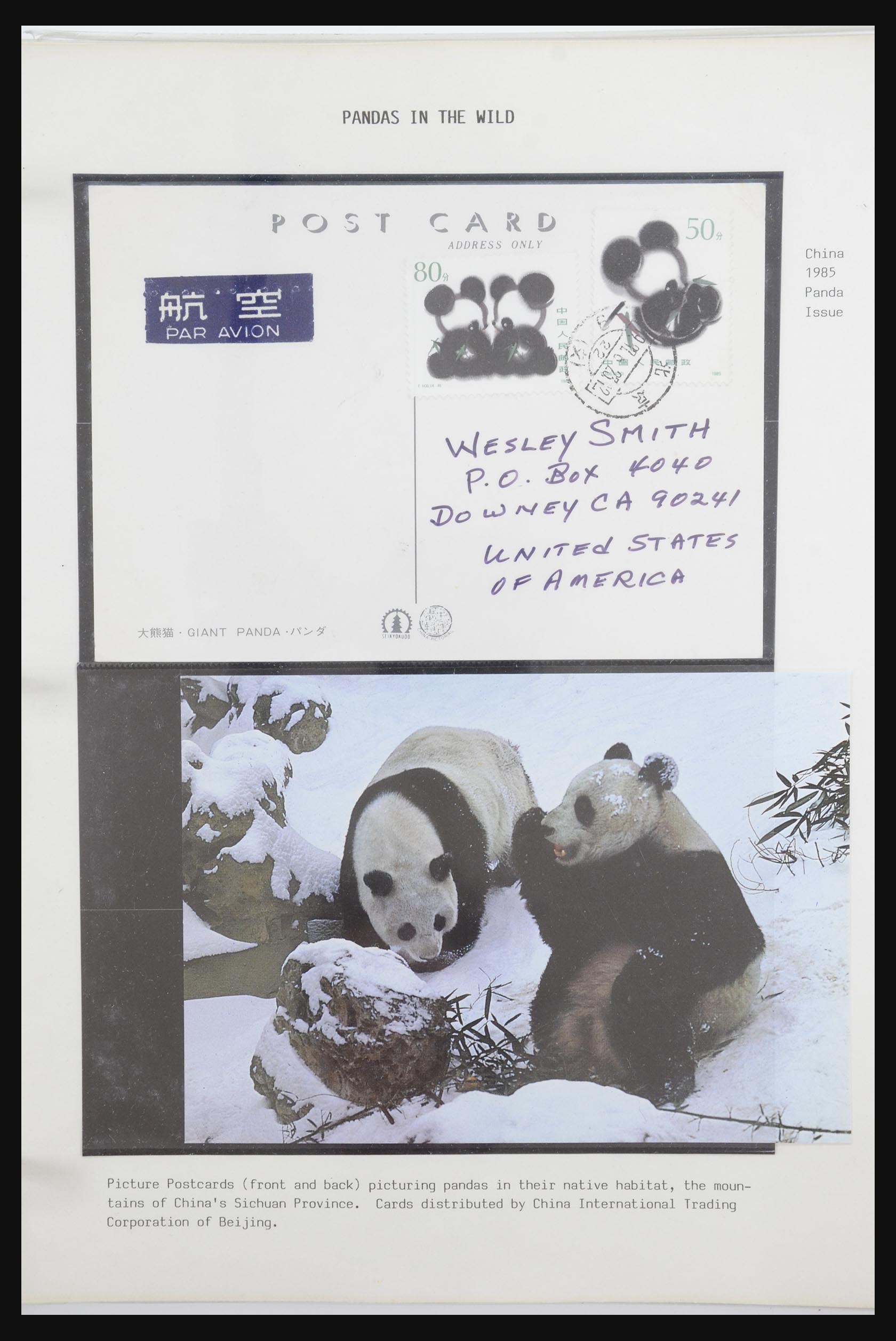 31922 034 - 31922 Motief panda's 1937-1989.