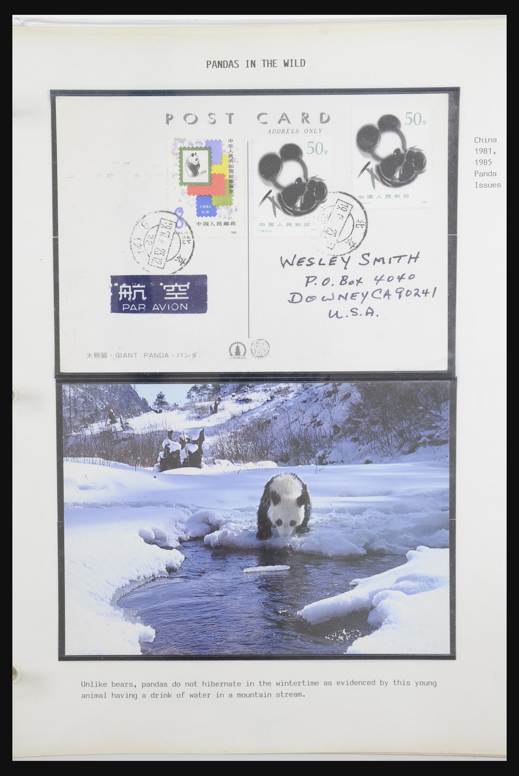 31922 035 - 31922 Motief panda's 1937-1989.