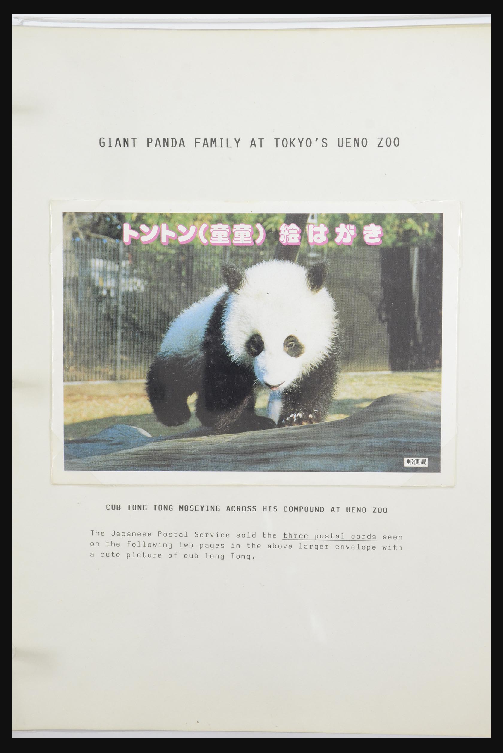31922 038 - 31922 Motief panda's 1937-1989.