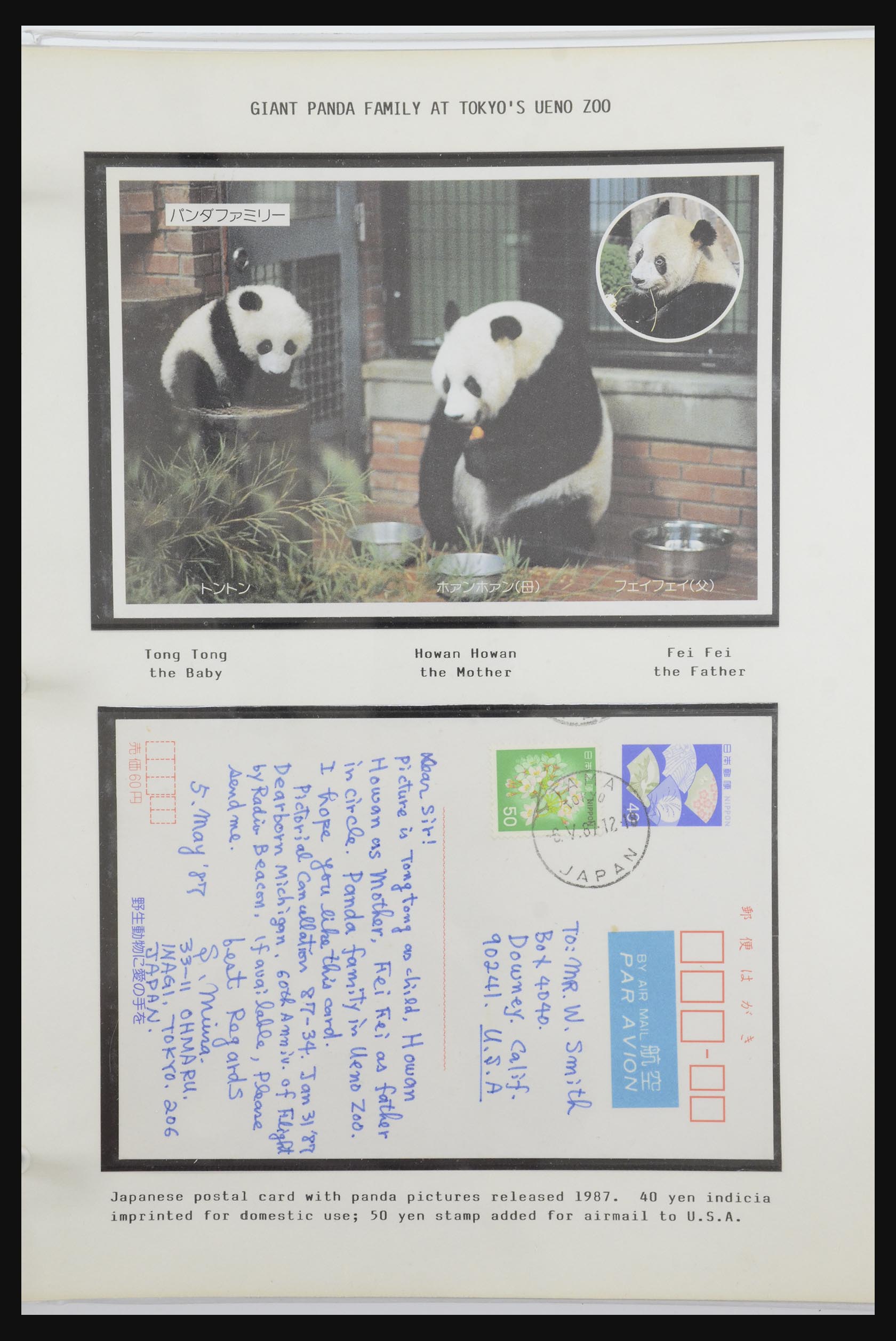 31922 039 - 31922 Motief panda's 1937-1989.
