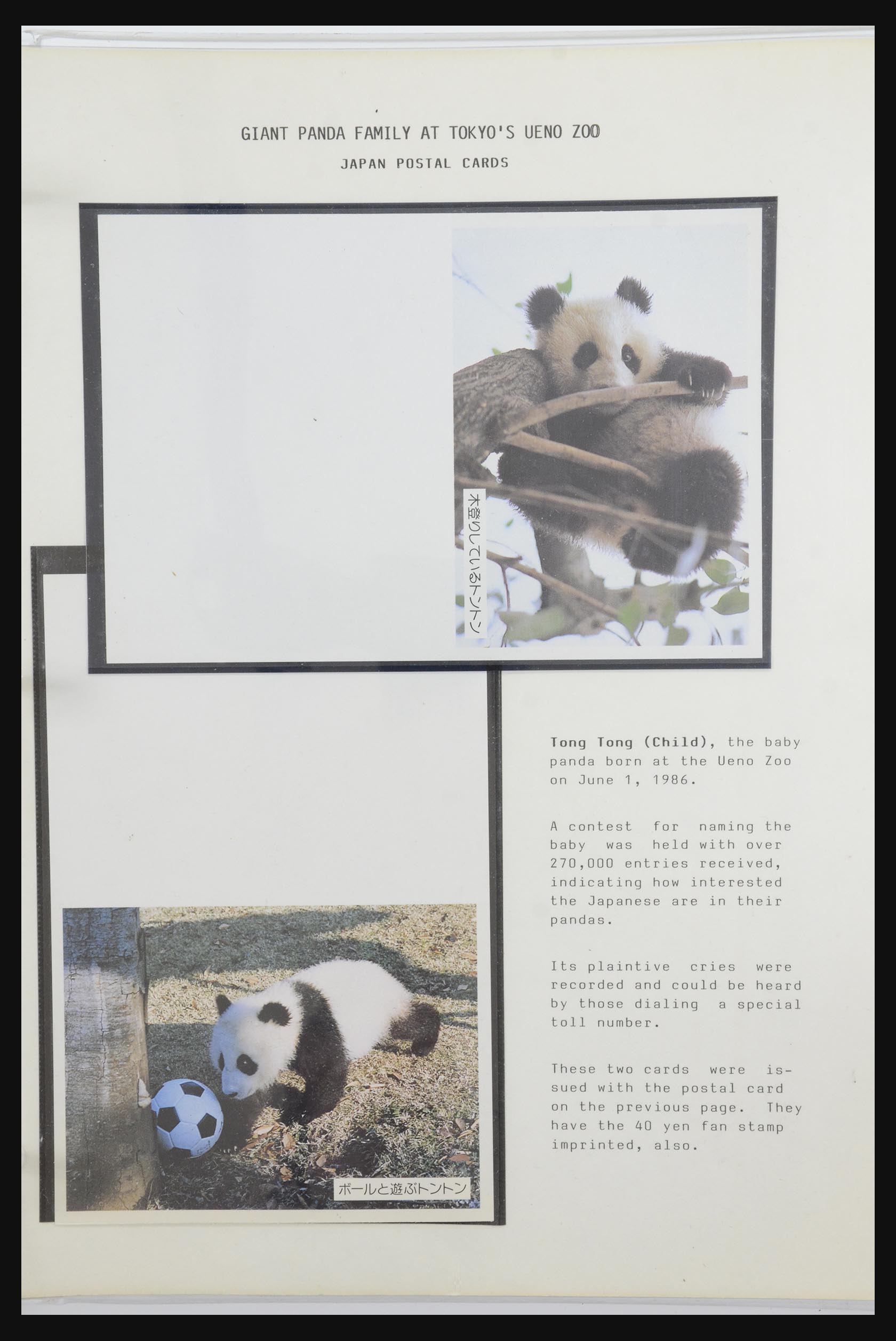 31922 040 - 31922 Thematic giant panda's 1937-1989.