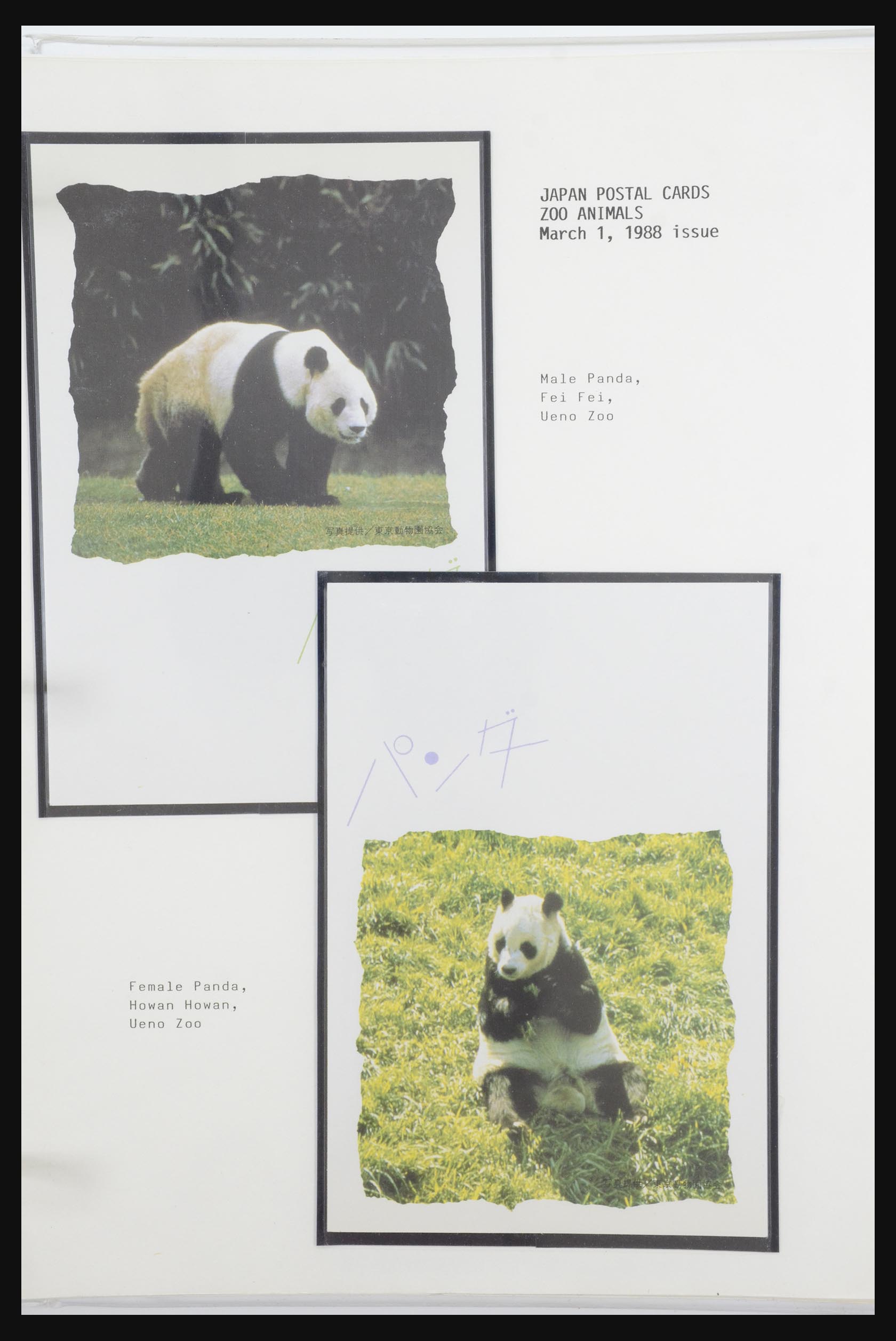 31922 042 - 31922 Thematic giant panda's 1937-1989.