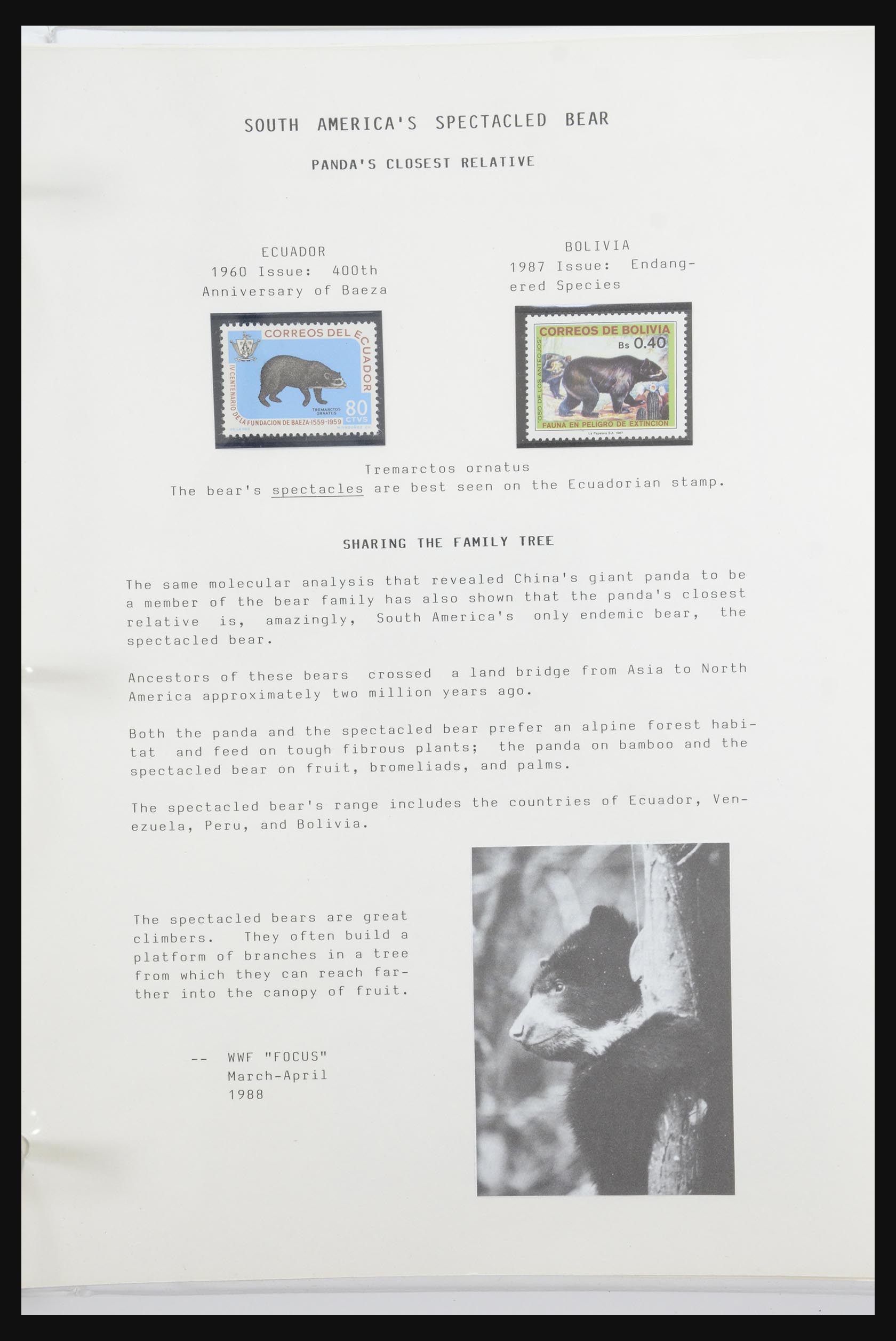 31922 044 - 31922 Thematic giant panda's 1937-1989.