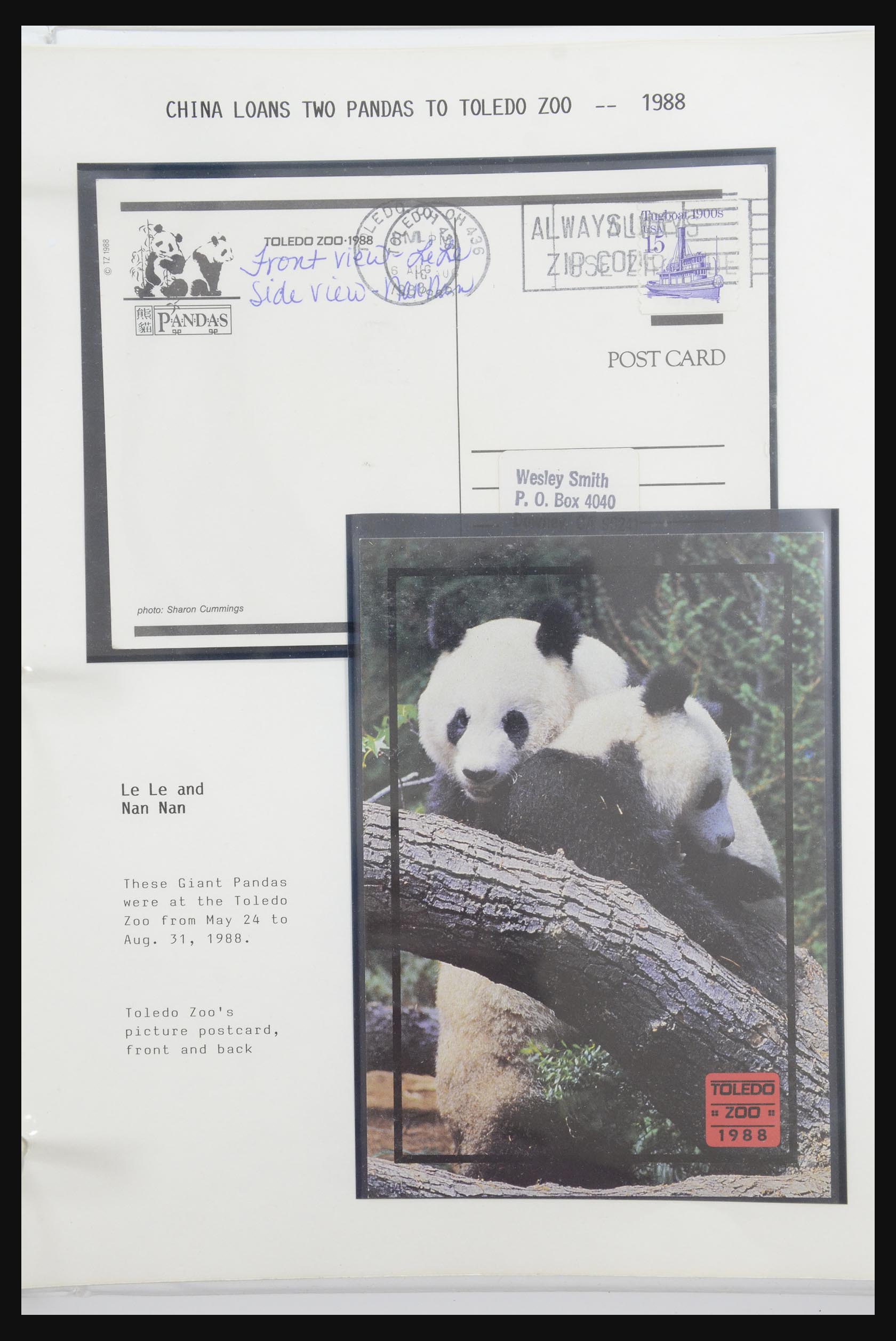 31922 045 - 31922 Motief panda's 1937-1989.