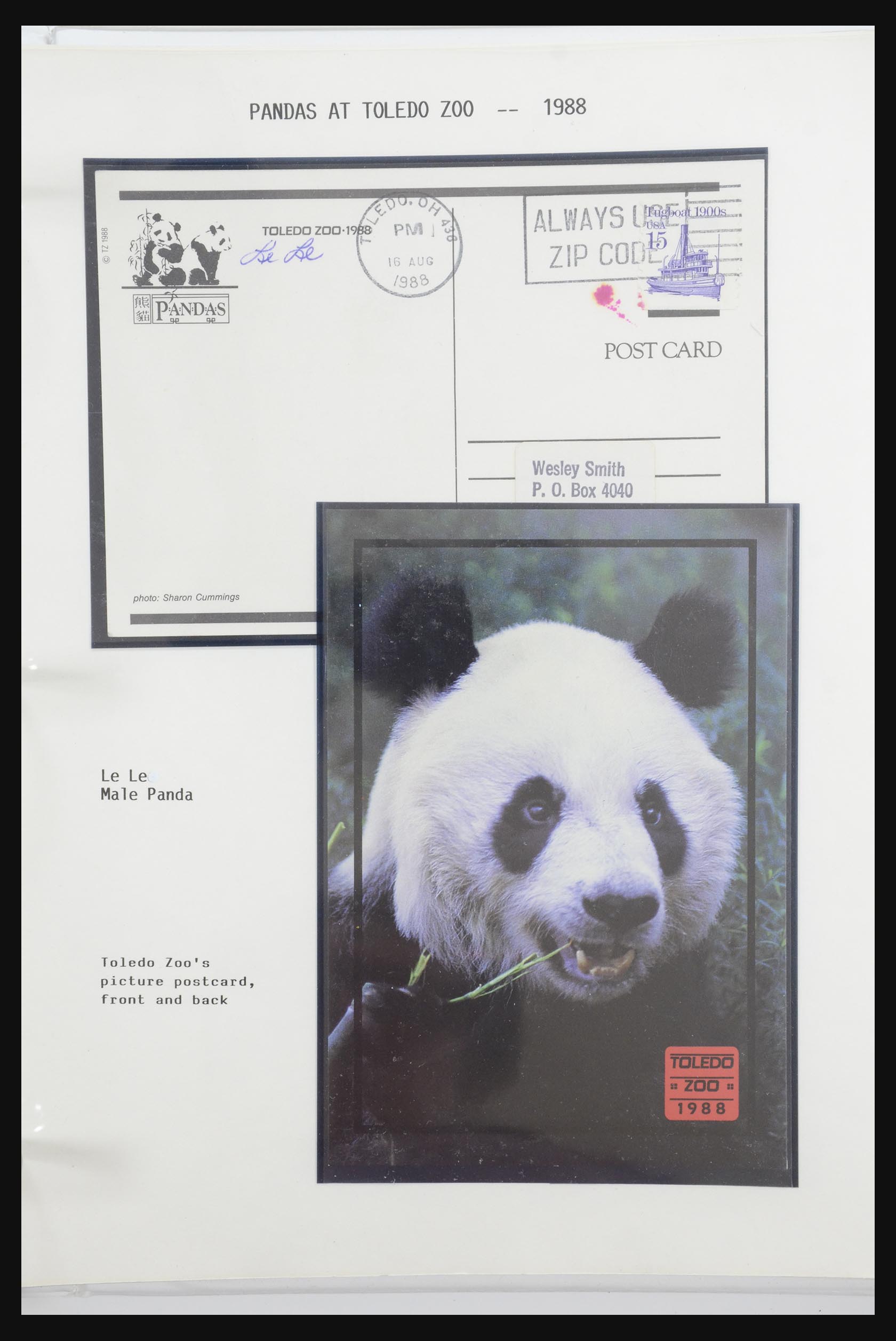 31922 046 - 31922 Motief panda's 1937-1989.