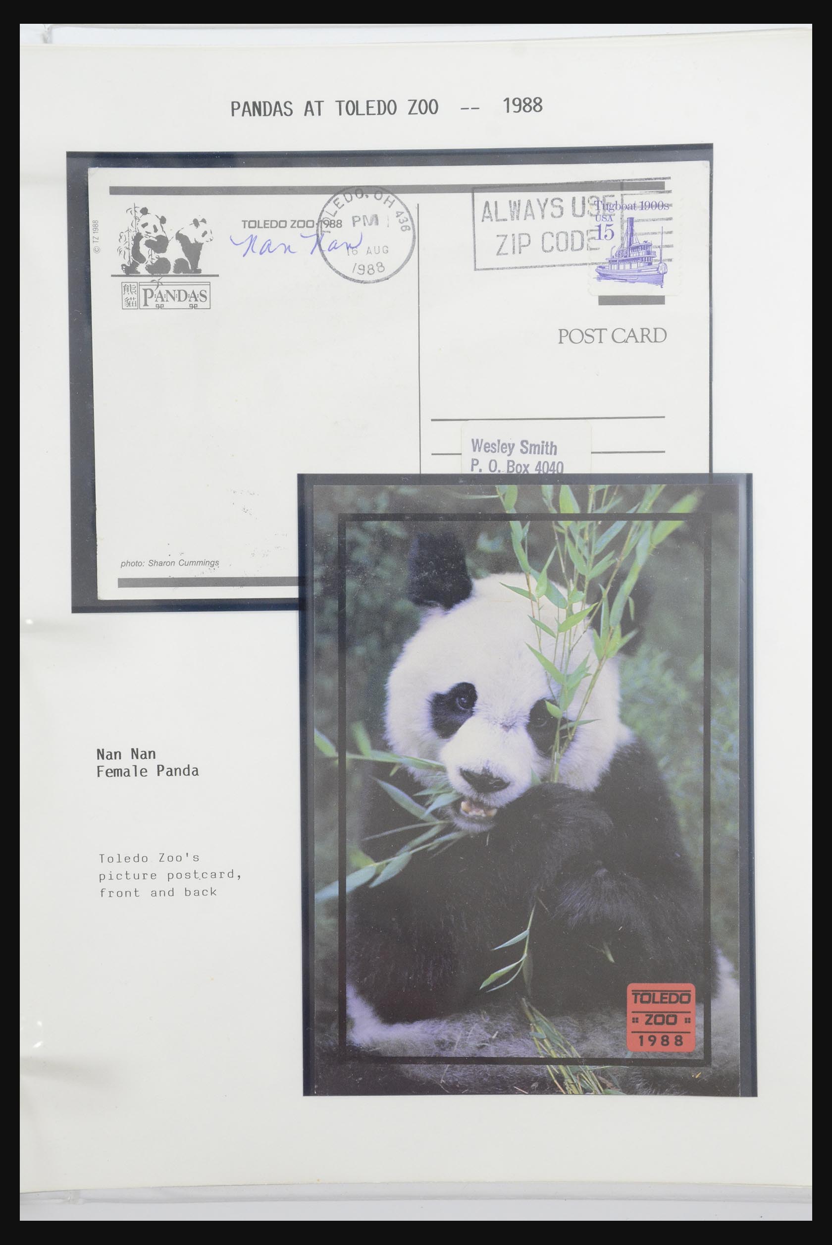 31922 047 - 31922 Thematic giant panda's 1937-1989.