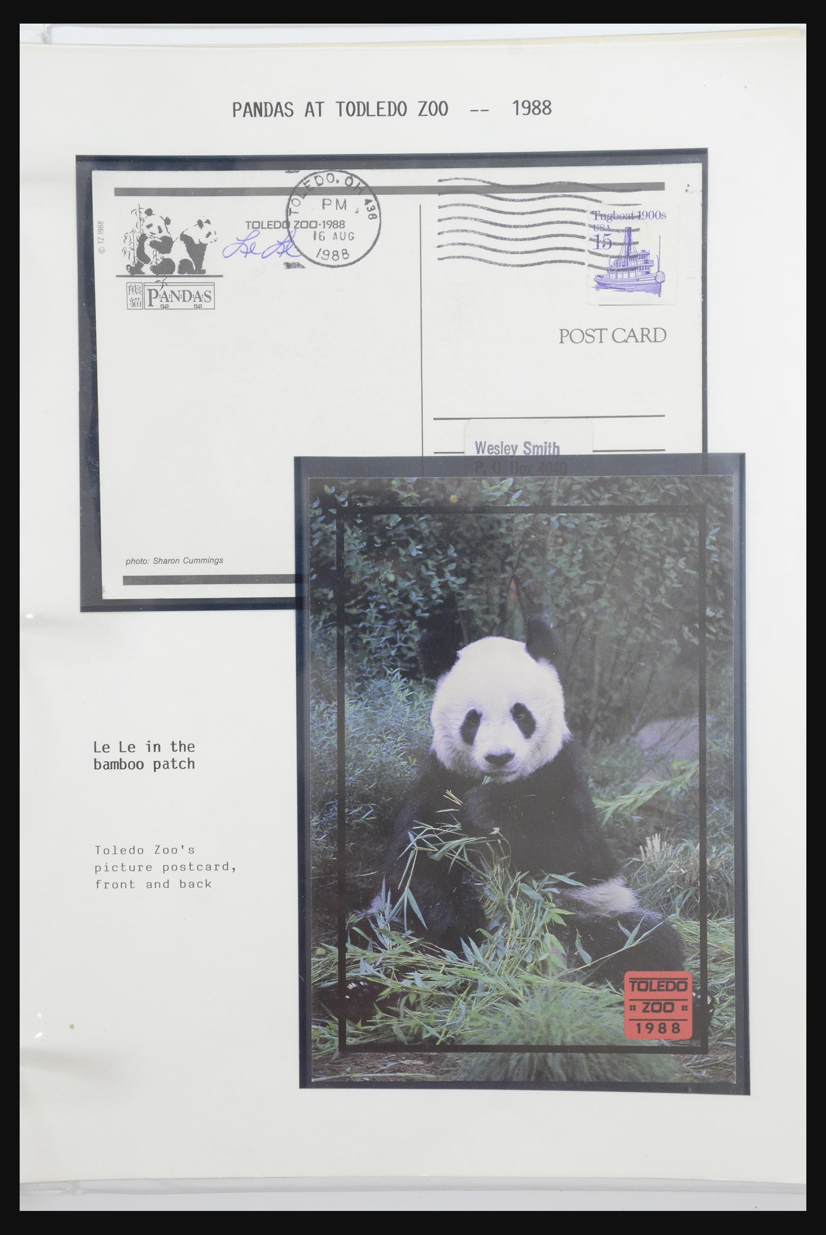 31922 048 - 31922 Motief panda's 1937-1989.