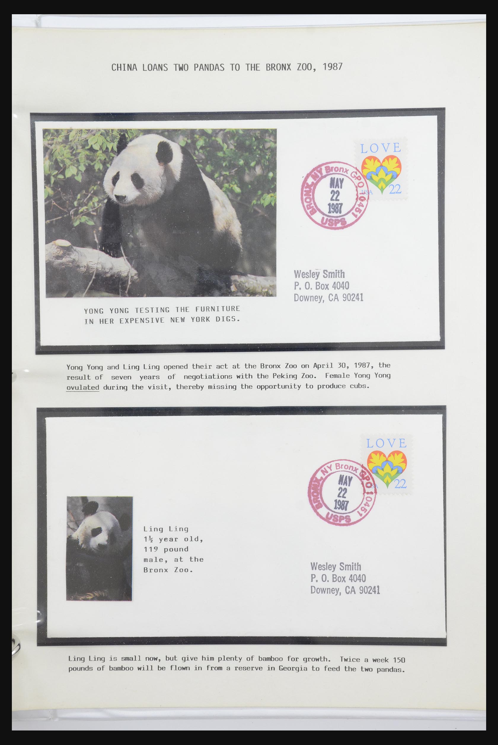 31922 051 - 31922 Thematic giant panda's 1937-1989.