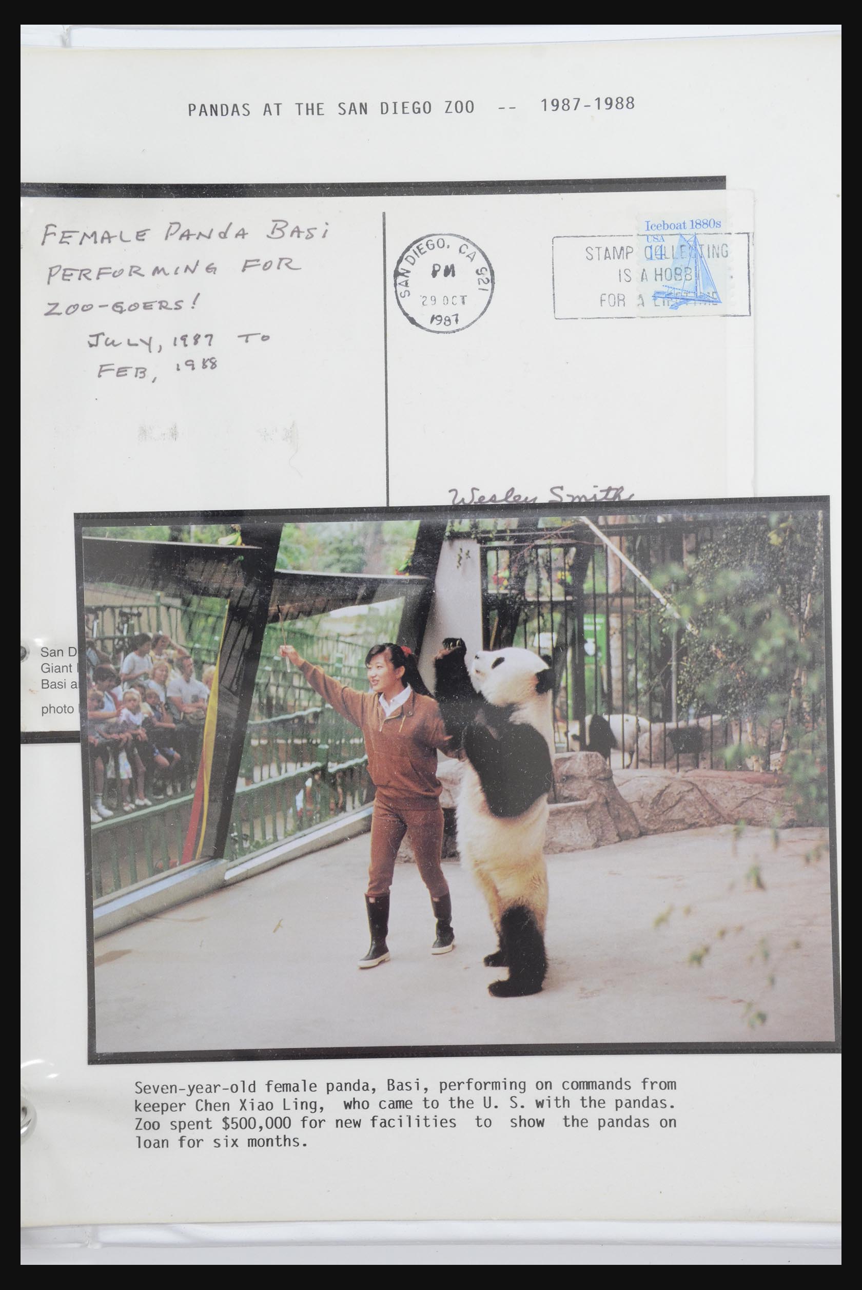 31922 052 - 31922 Thematic giant panda's 1937-1989.