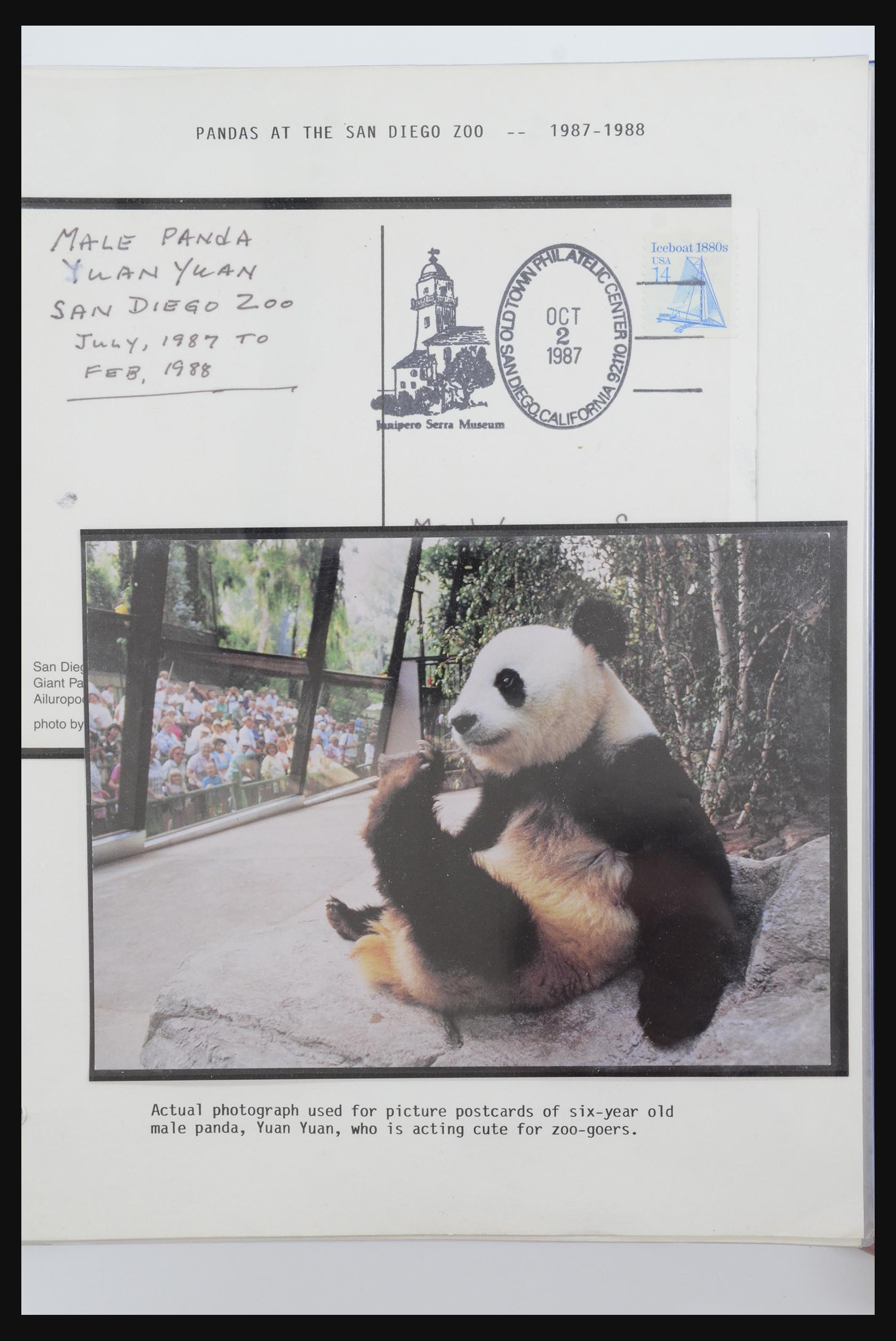 31922 053 - 31922 Thematic giant panda's 1937-1989.
