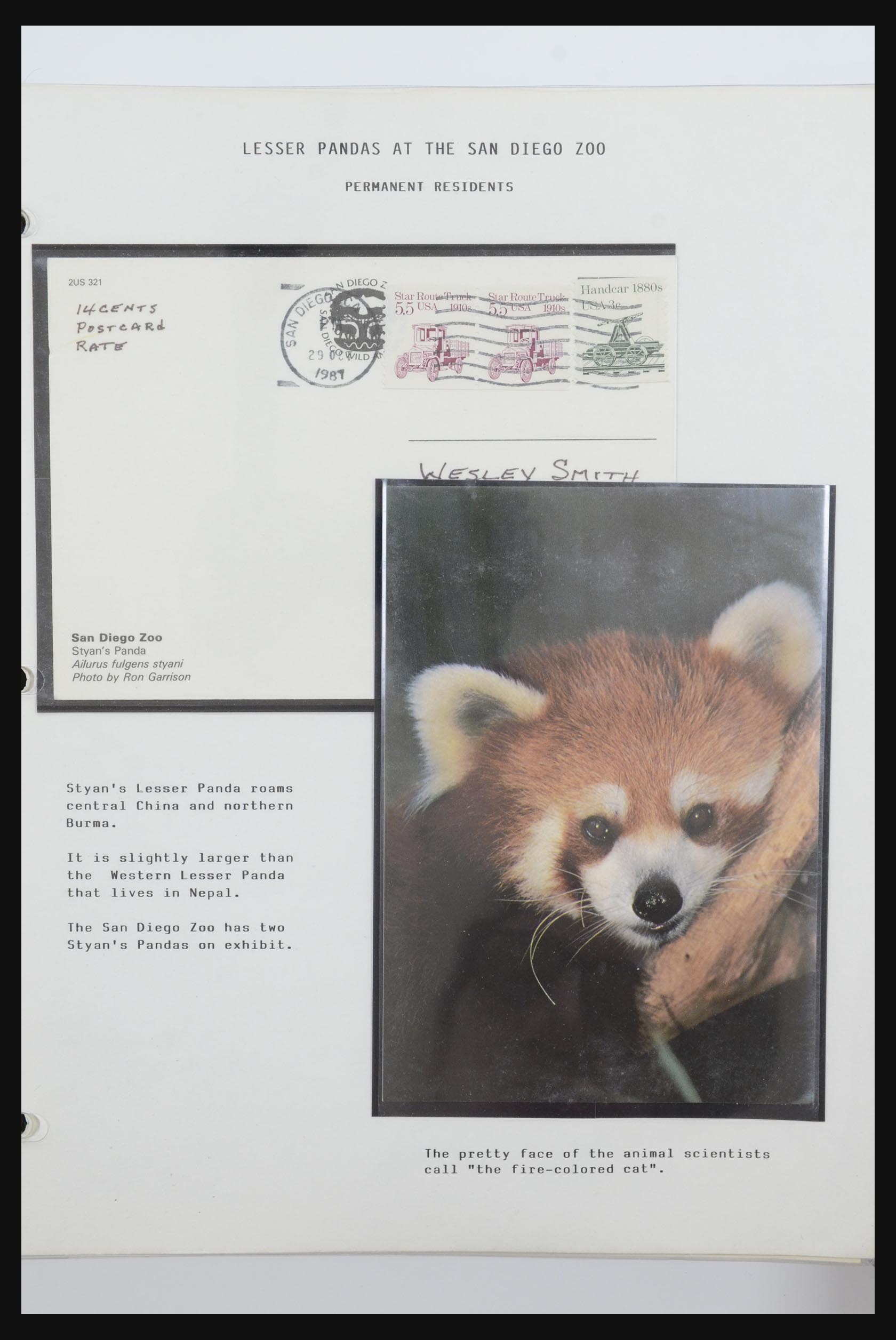 31922 054 - 31922 Thematic giant panda's 1937-1989.
