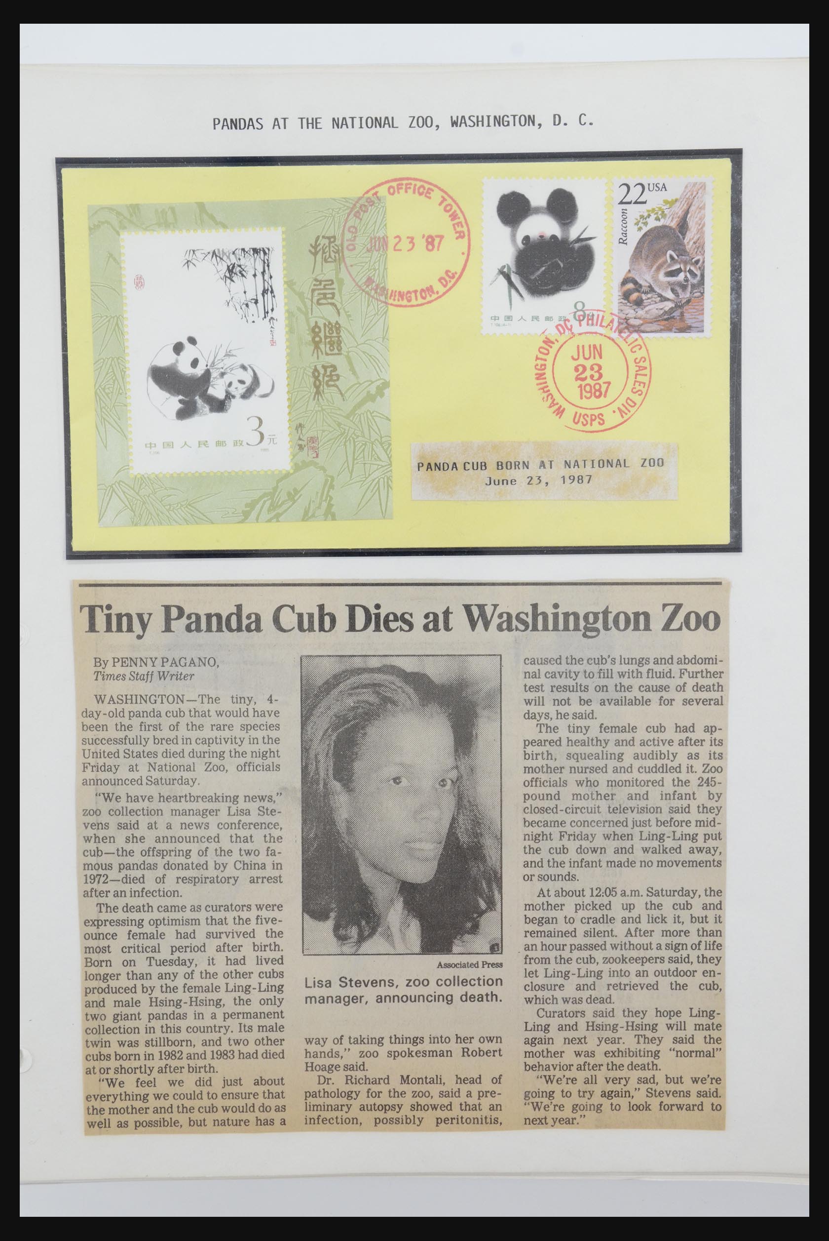 31922 056 - 31922 Thematic giant panda's 1937-1989.