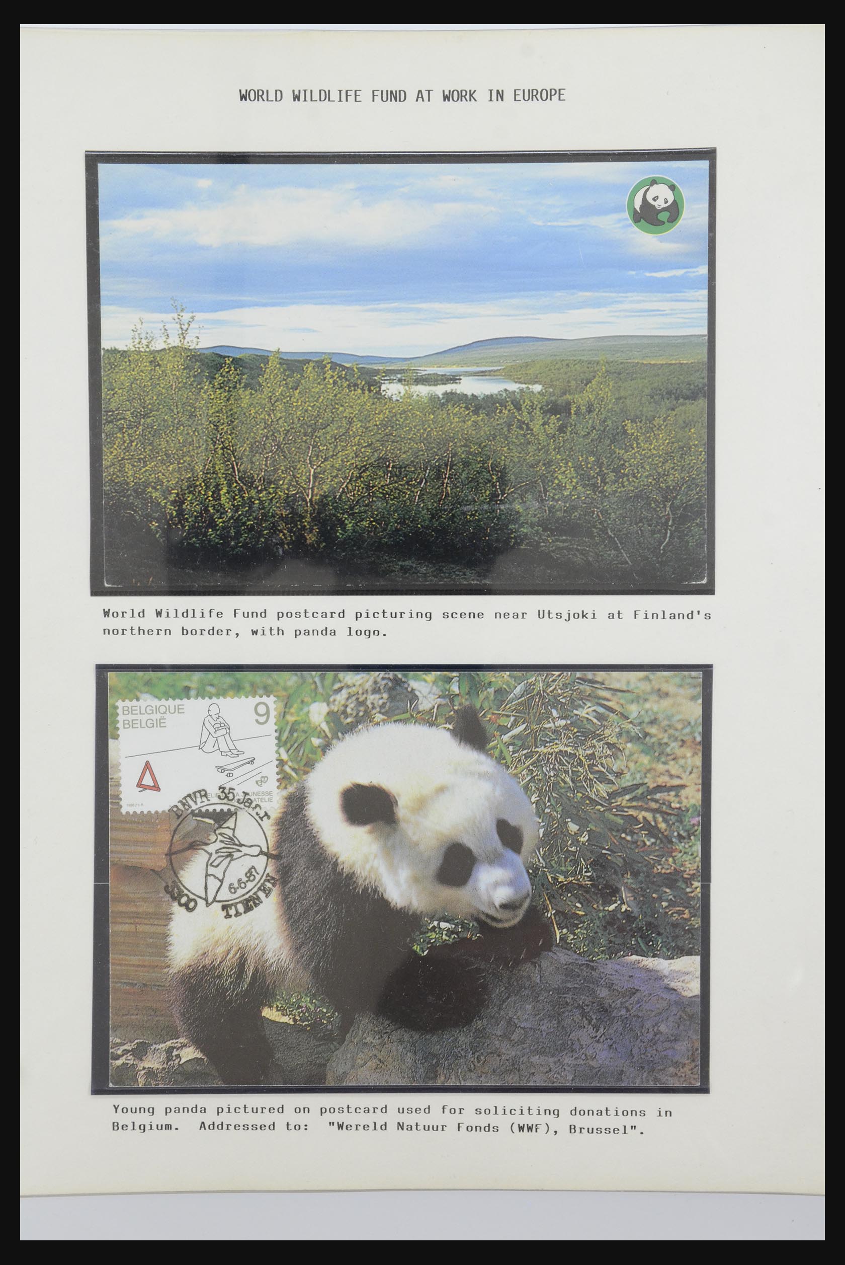 31922 062 - 31922 Thematic giant panda's 1937-1989.