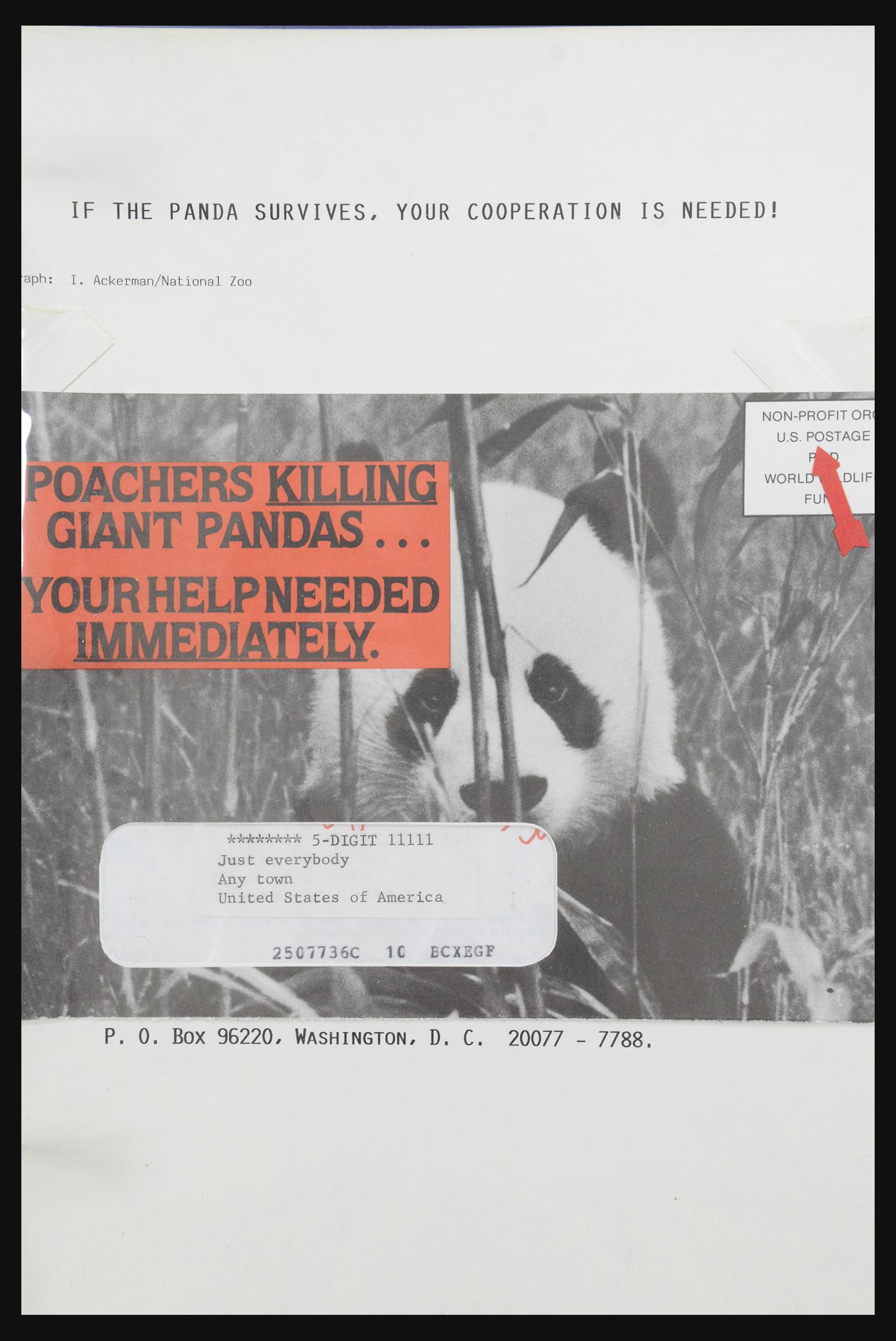 31922 095 - 31922 Motief panda's 1937-1989.