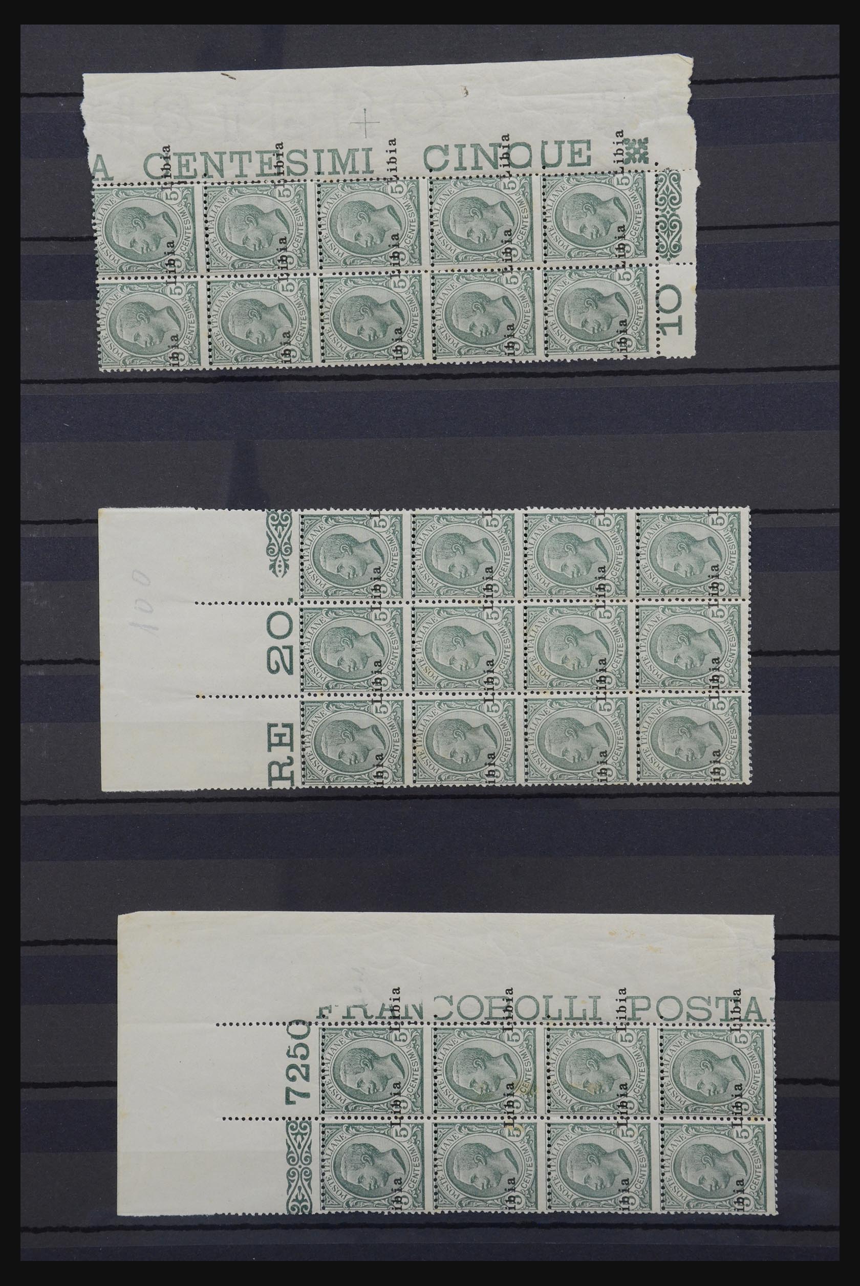 32296 001 - 32296 Lybia varieties 1912.