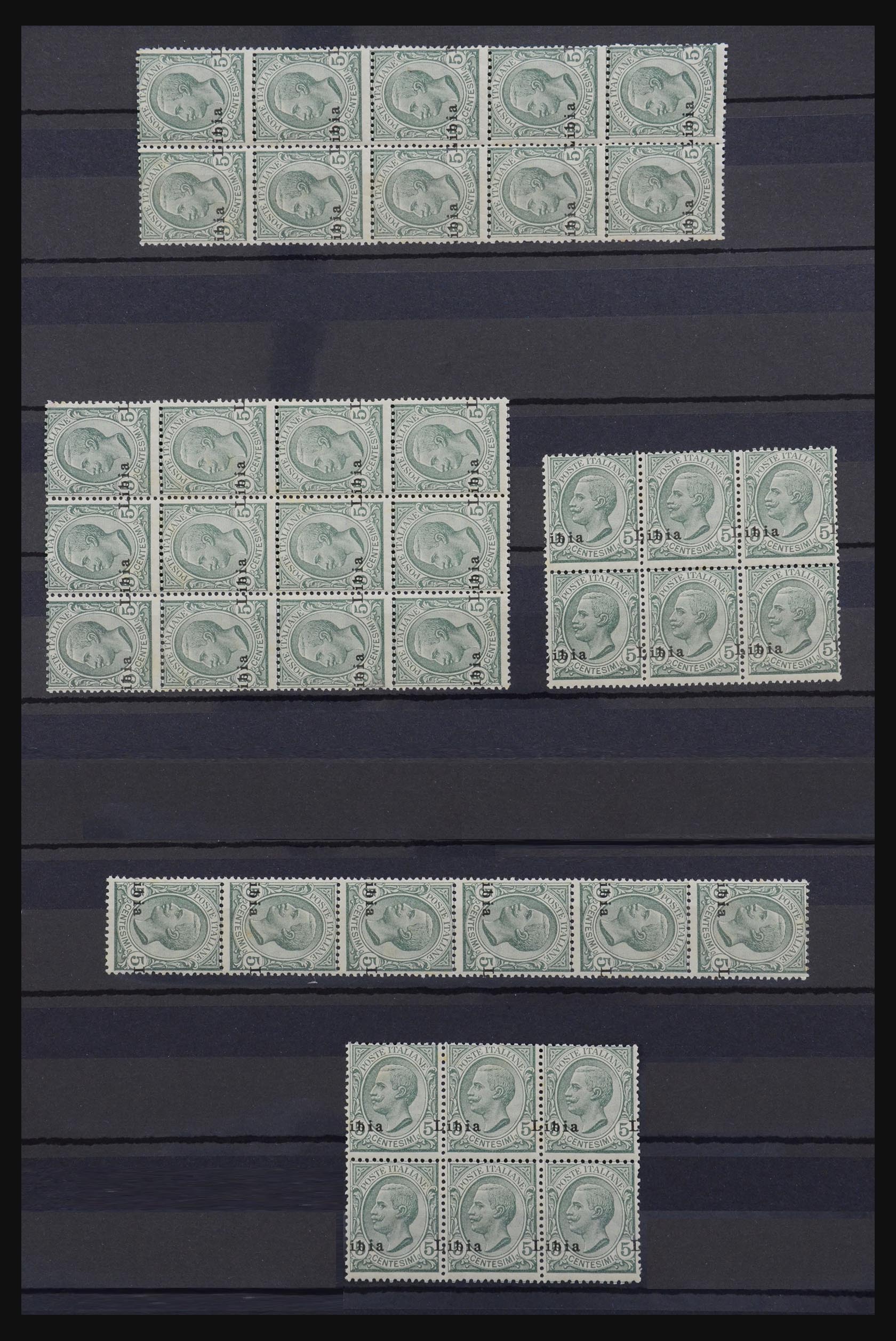 32296 002 - 32296 Lybia varieties 1912.