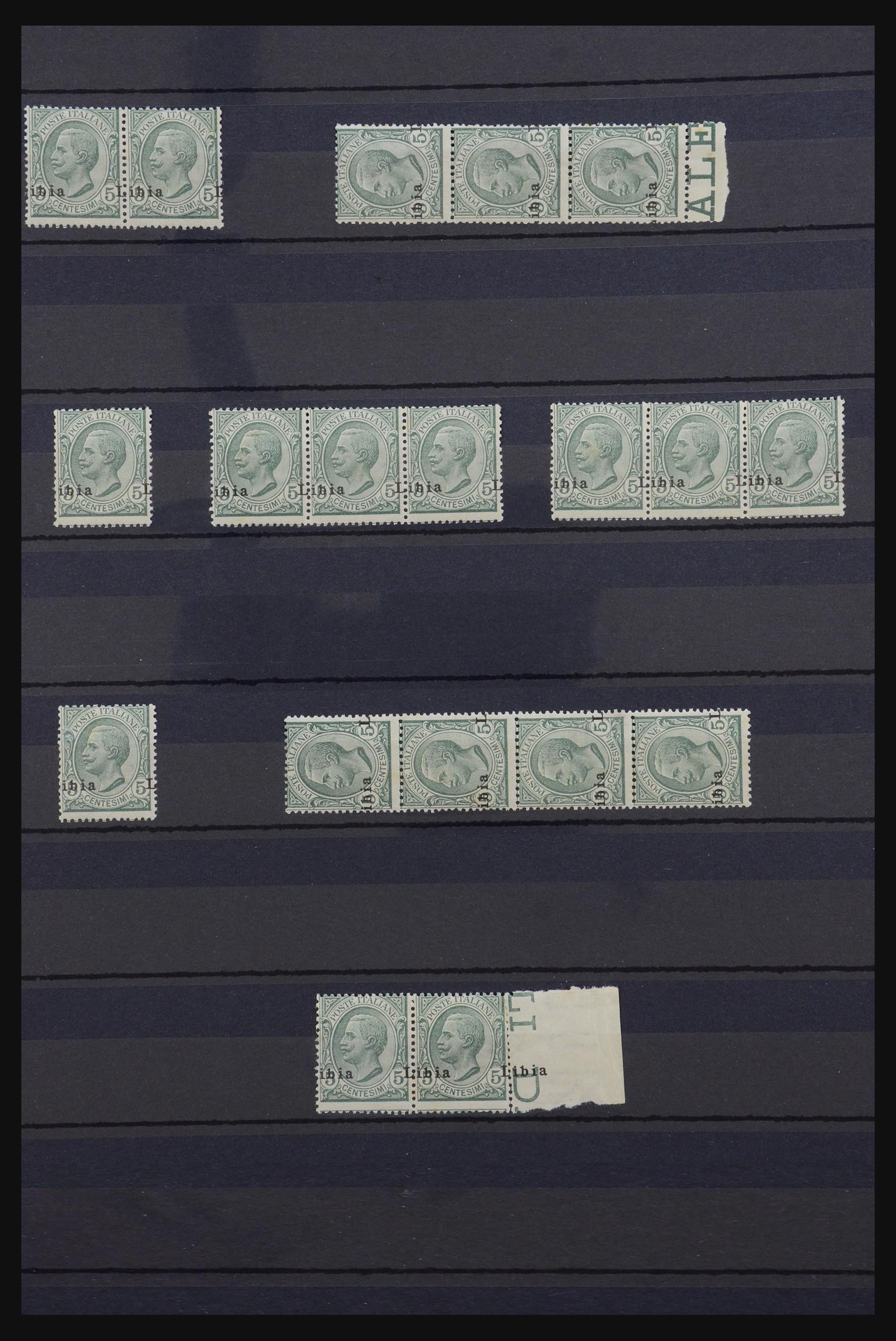 32296 003 - 32296 Lybia varieties 1912.